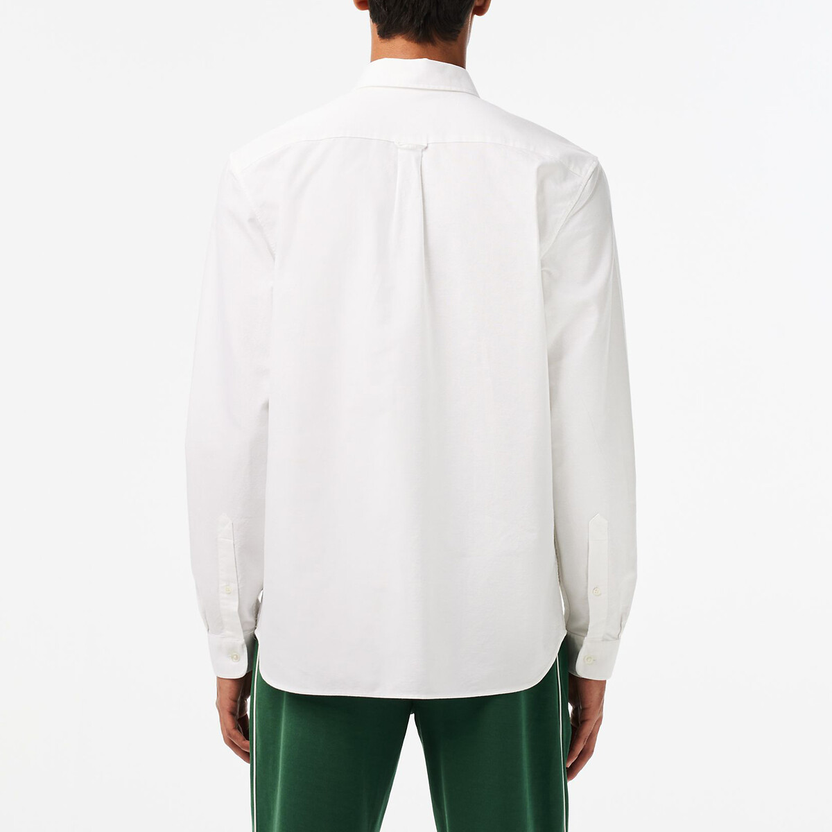 Embroidered Logo Oxford Shirt in Cotton with Long Sleeves white, LACOSTE