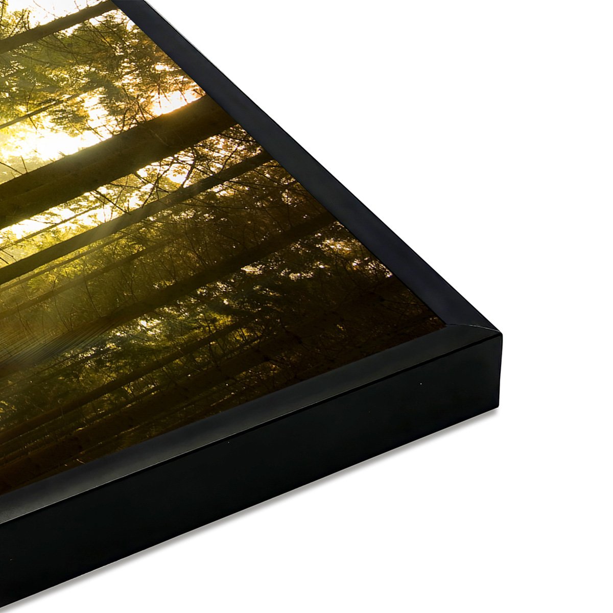 Affiche encadrée forêt baignée de lumière dorée affiche + cadre en métal - noir, HEXOA