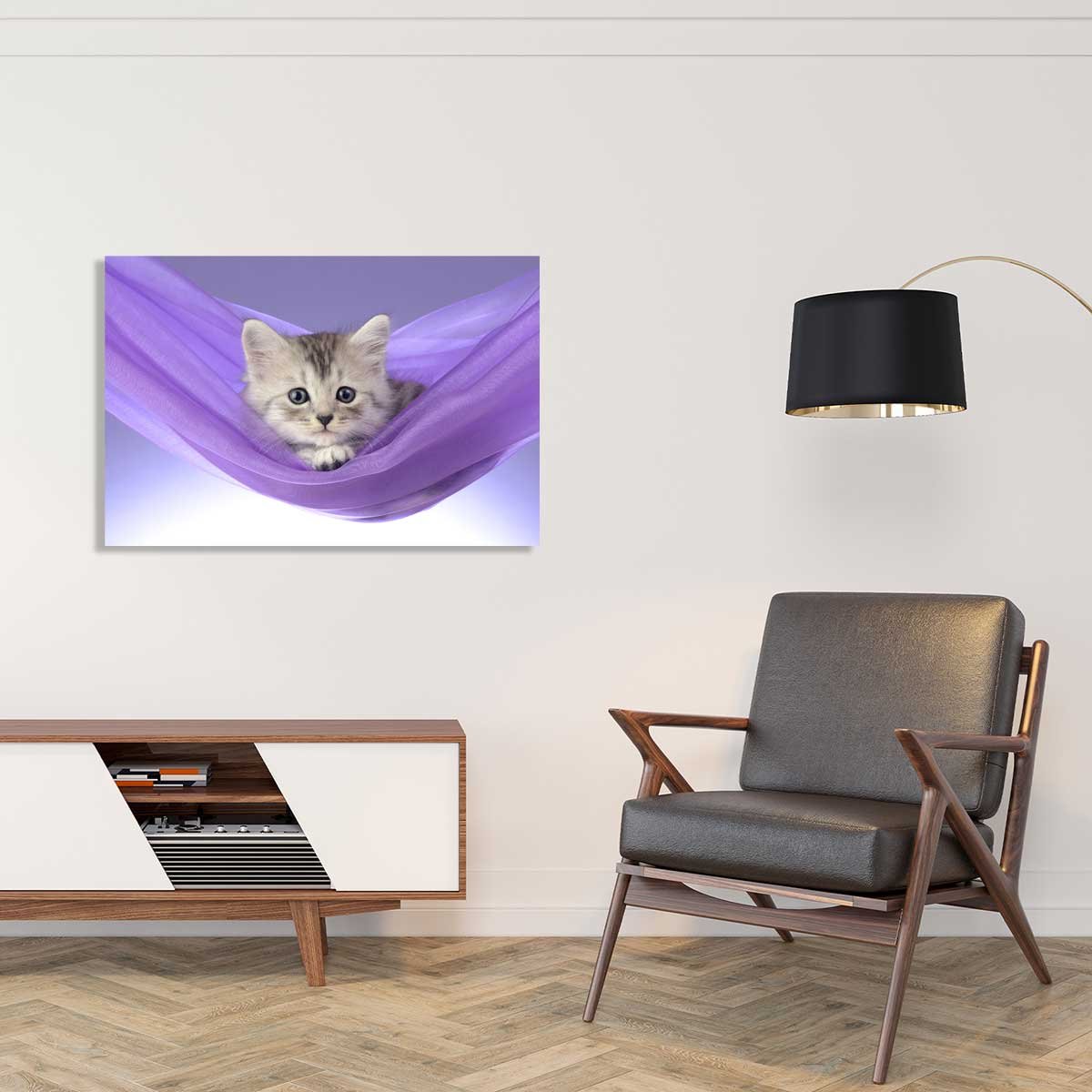 Tableau animaux chat tableau alu dibond, HEXOA