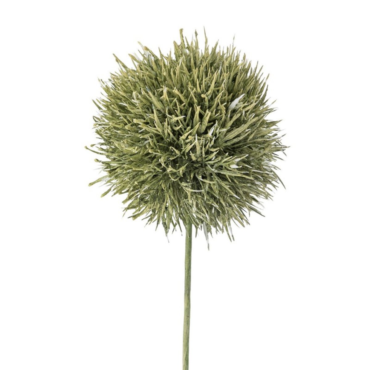 Plante artificielle ail ornement Allium vert, BLOOMINGVILLE