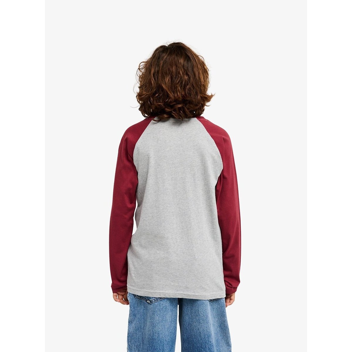 Long Sleeve T-Shirt grey/burgundy, QUIKSILVER