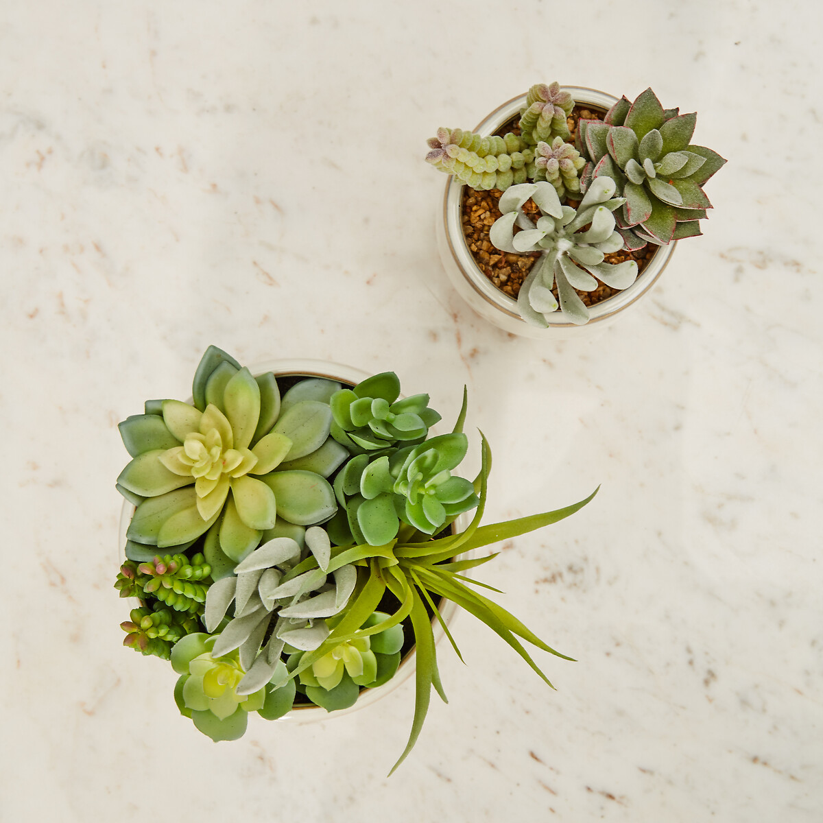24cm Artificial Fiori Mixed Succulent in White Ceramic Pot green, ÉDITÉ