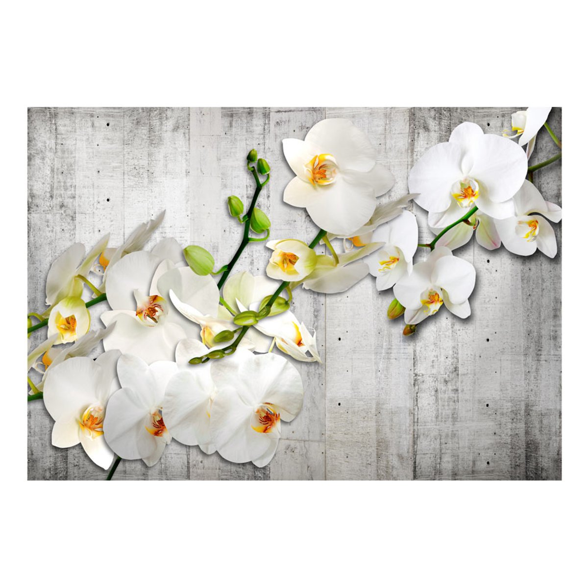 Papier peint intissé panoramique Fleurs With saffron accent vert, EDEN