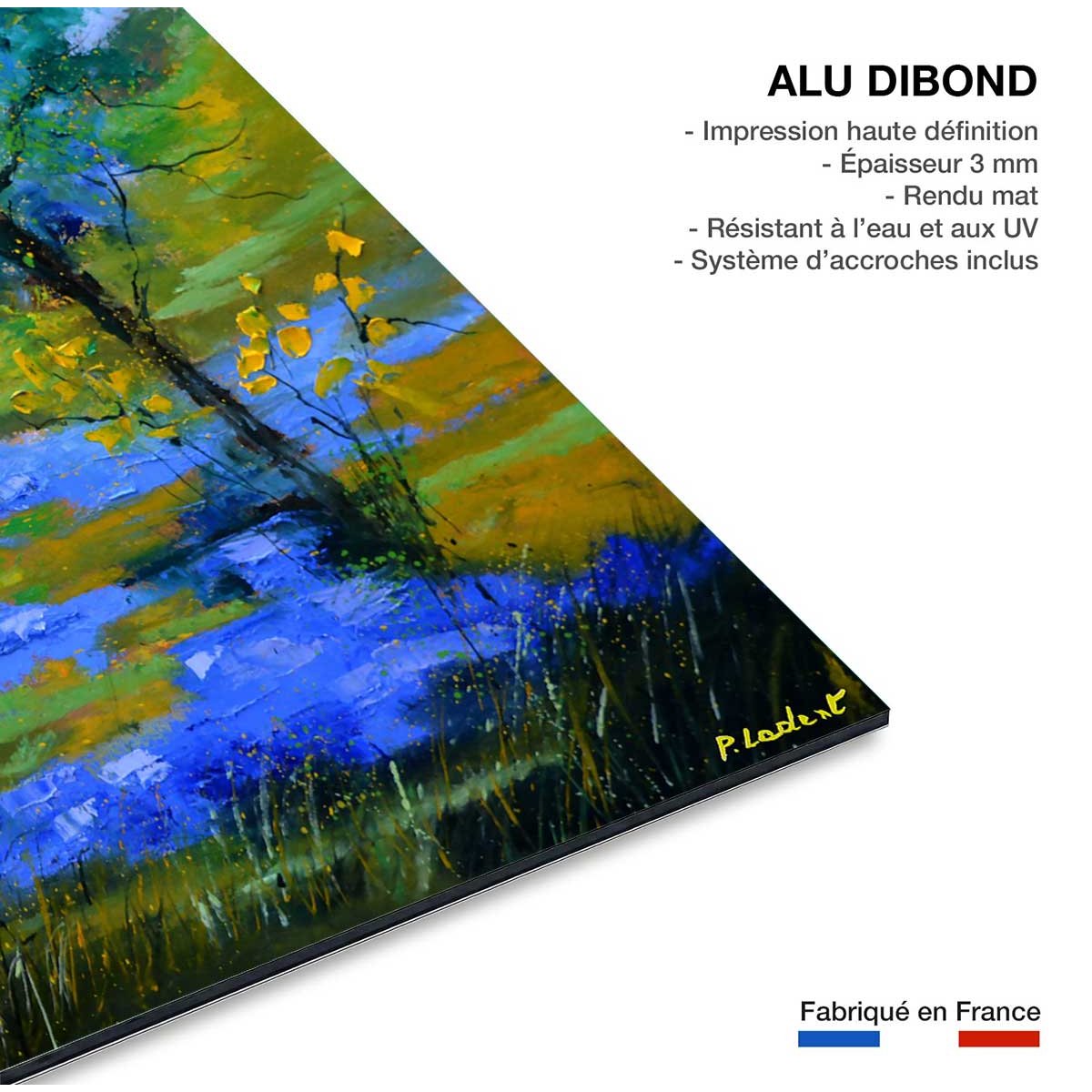 Tableau paysage flaque tableau alu dibond, HEXOA