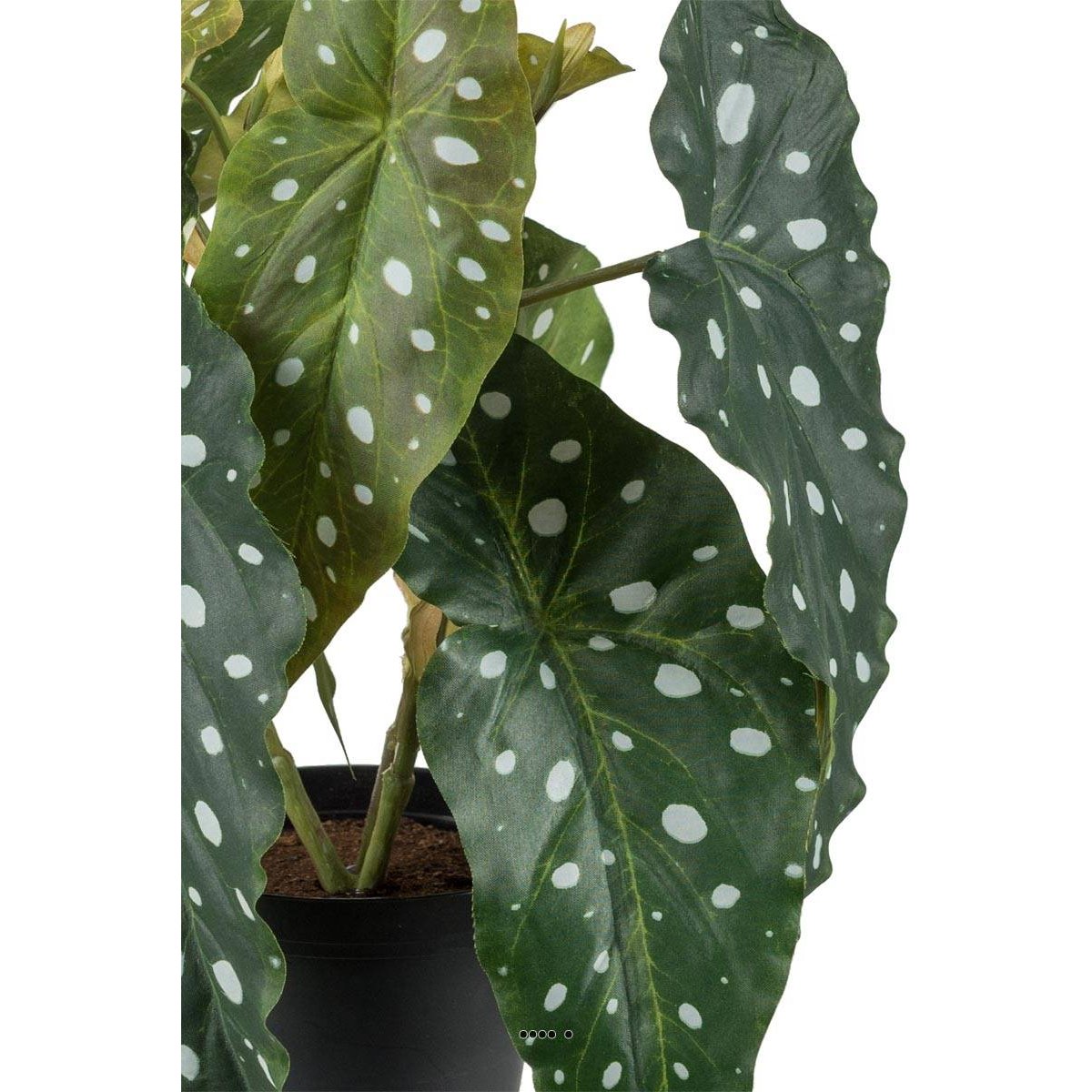 Begonia Maculata artificiel en pot, H 30 c v002239, ARTIFICIELLES