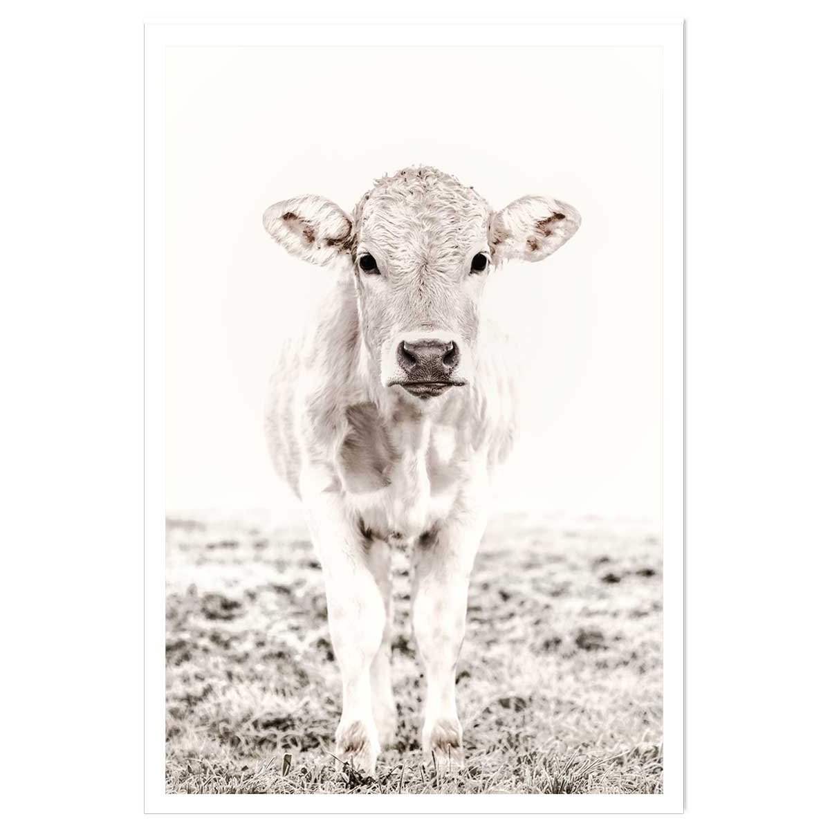Affiche enfant veau affiche seule, HEXOA