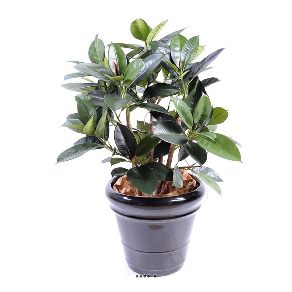Ficus elastica artificiel ou plante de caoutc vert, ARTIFICIELLES