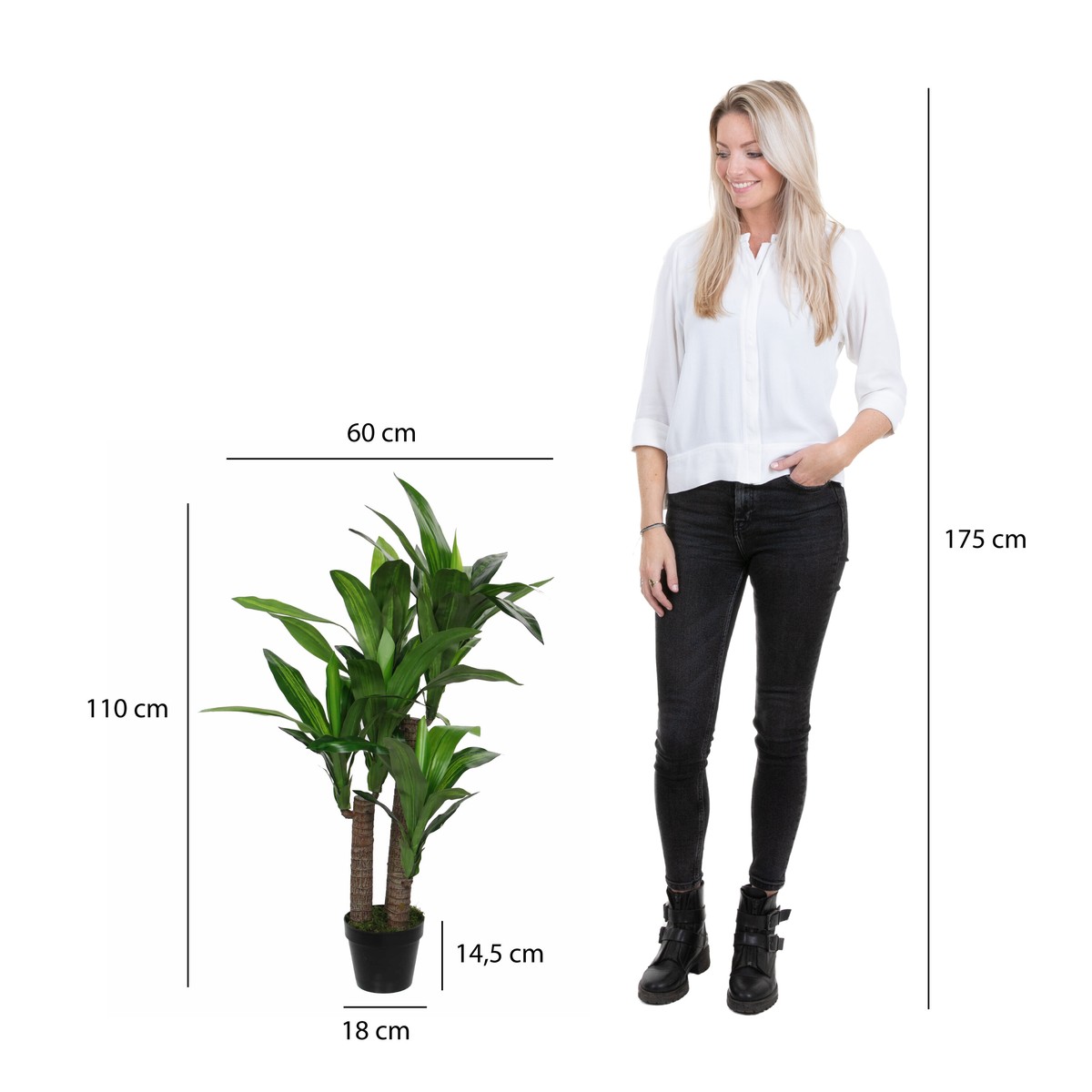Plante artificielle DRACAENA vert, MICA DECORATIONS