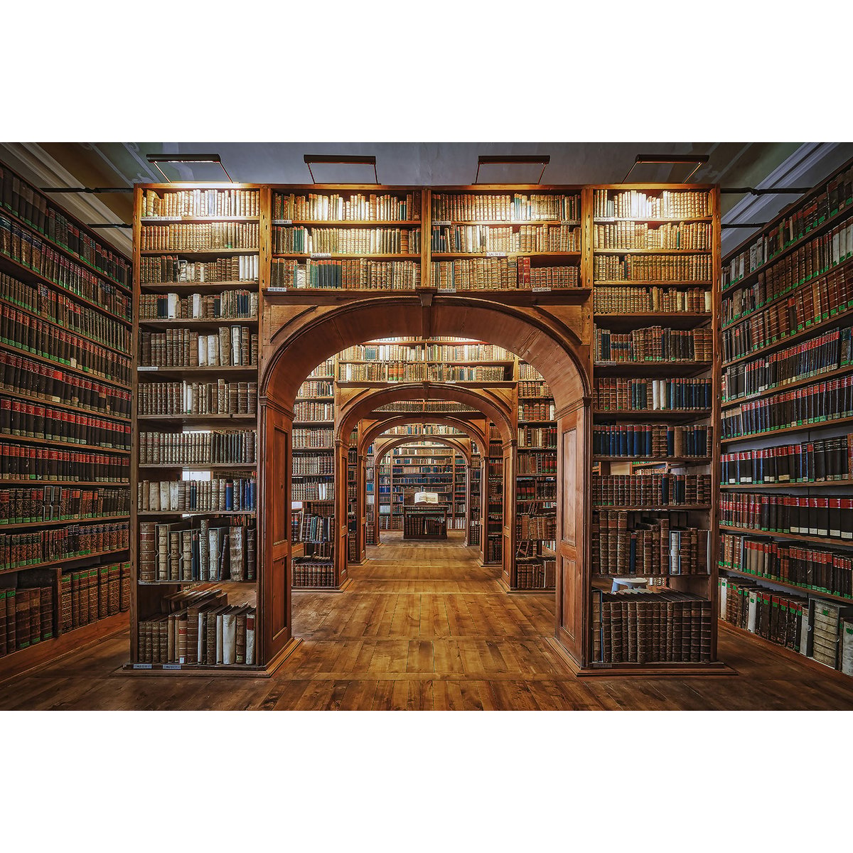 Tableau librairie des sciences tableau alu dibond, HEXOA