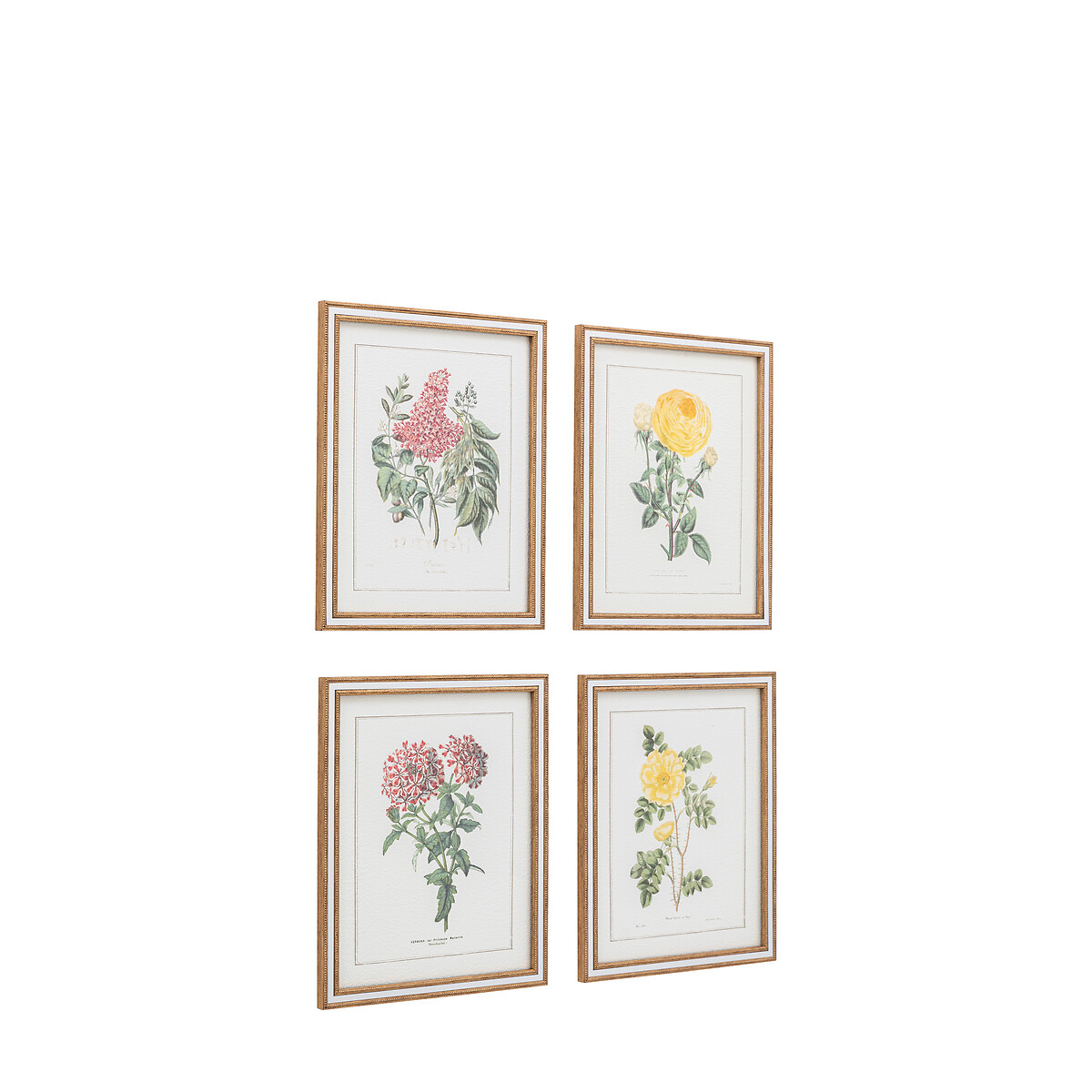 Set of 4 Floral Quartet Framed Art green, ÉDITÉ