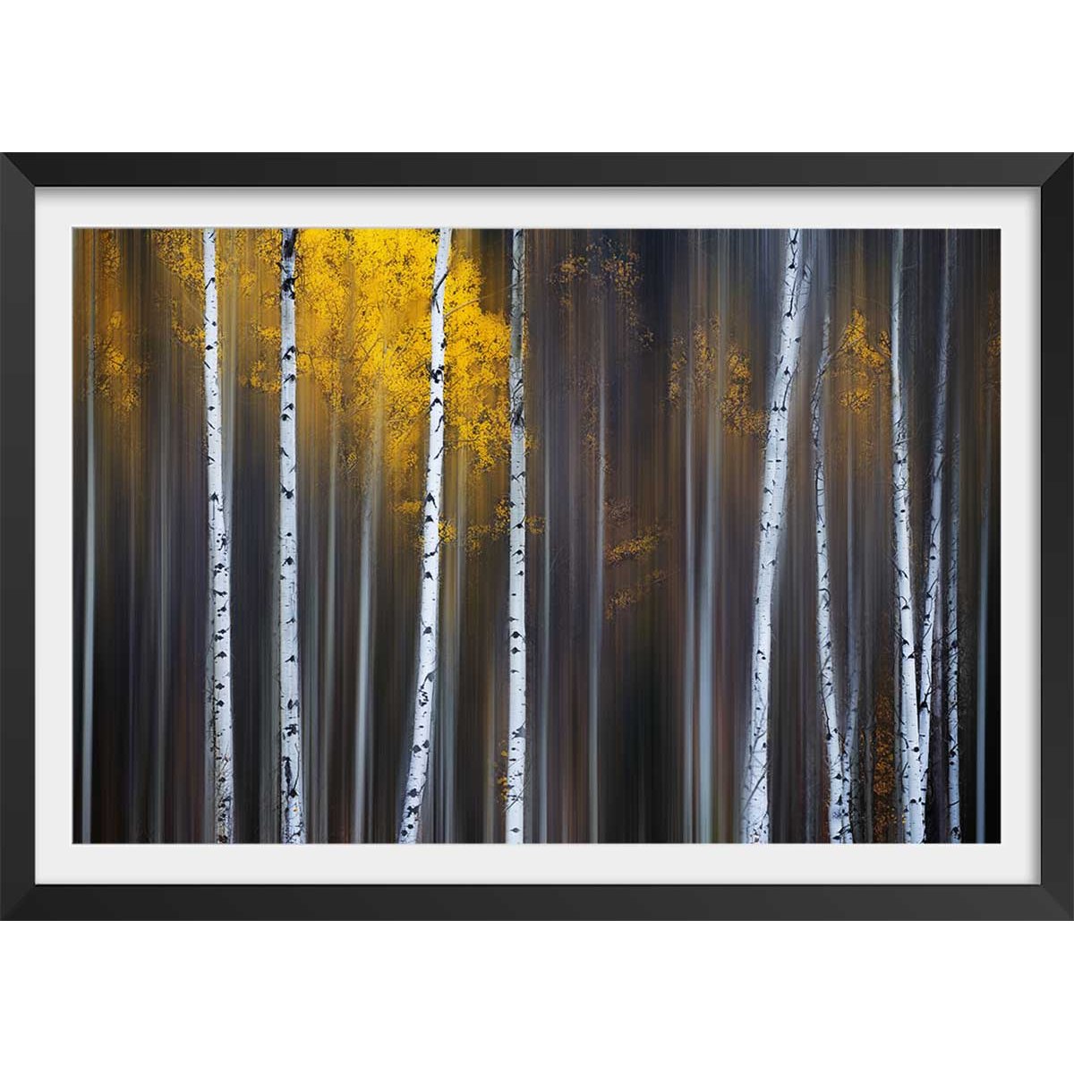 Affiche paysage Rideau d'automne affiche + cadre en bois - noir, HEXOA