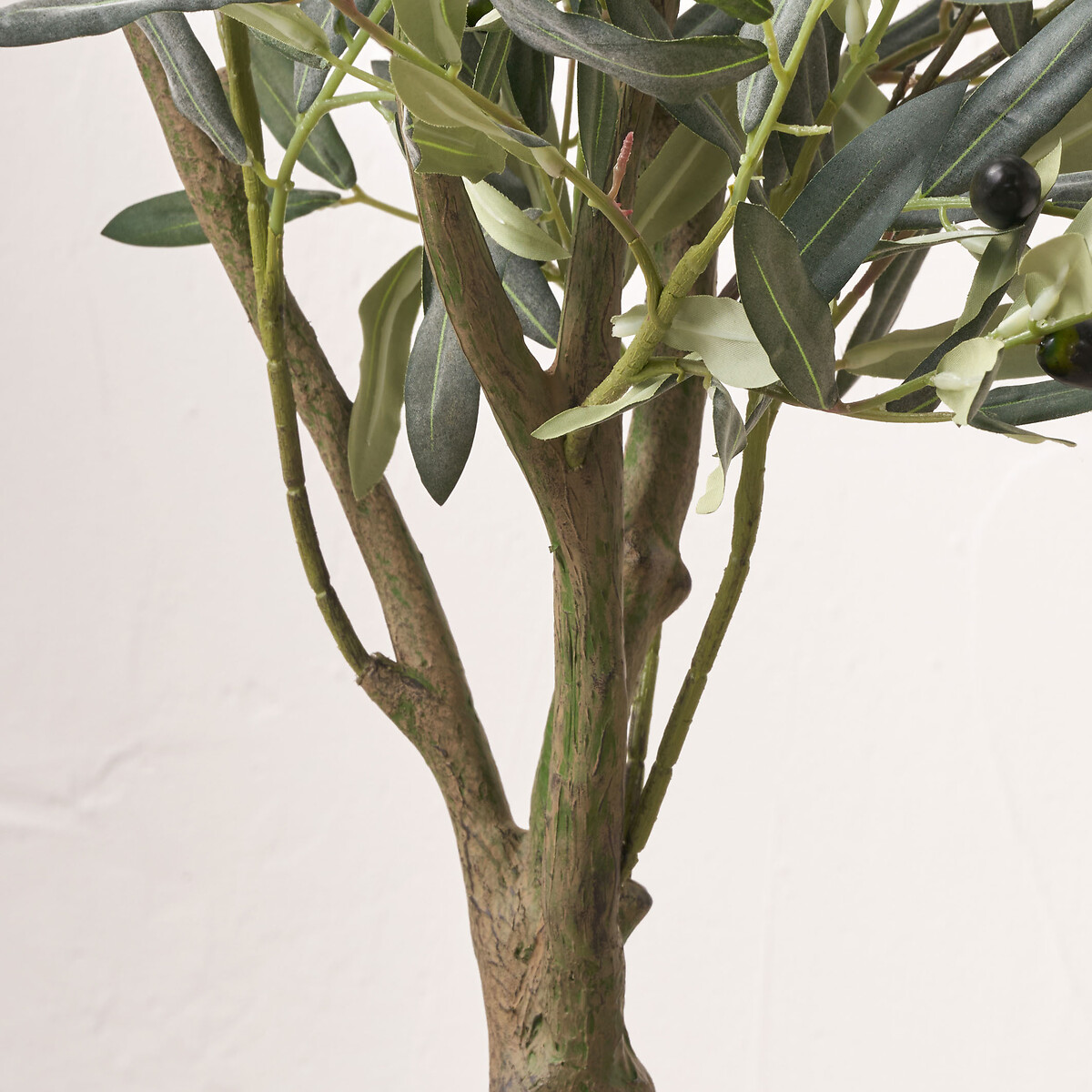 150cm Olive Tree in Pot green, SO'HOME