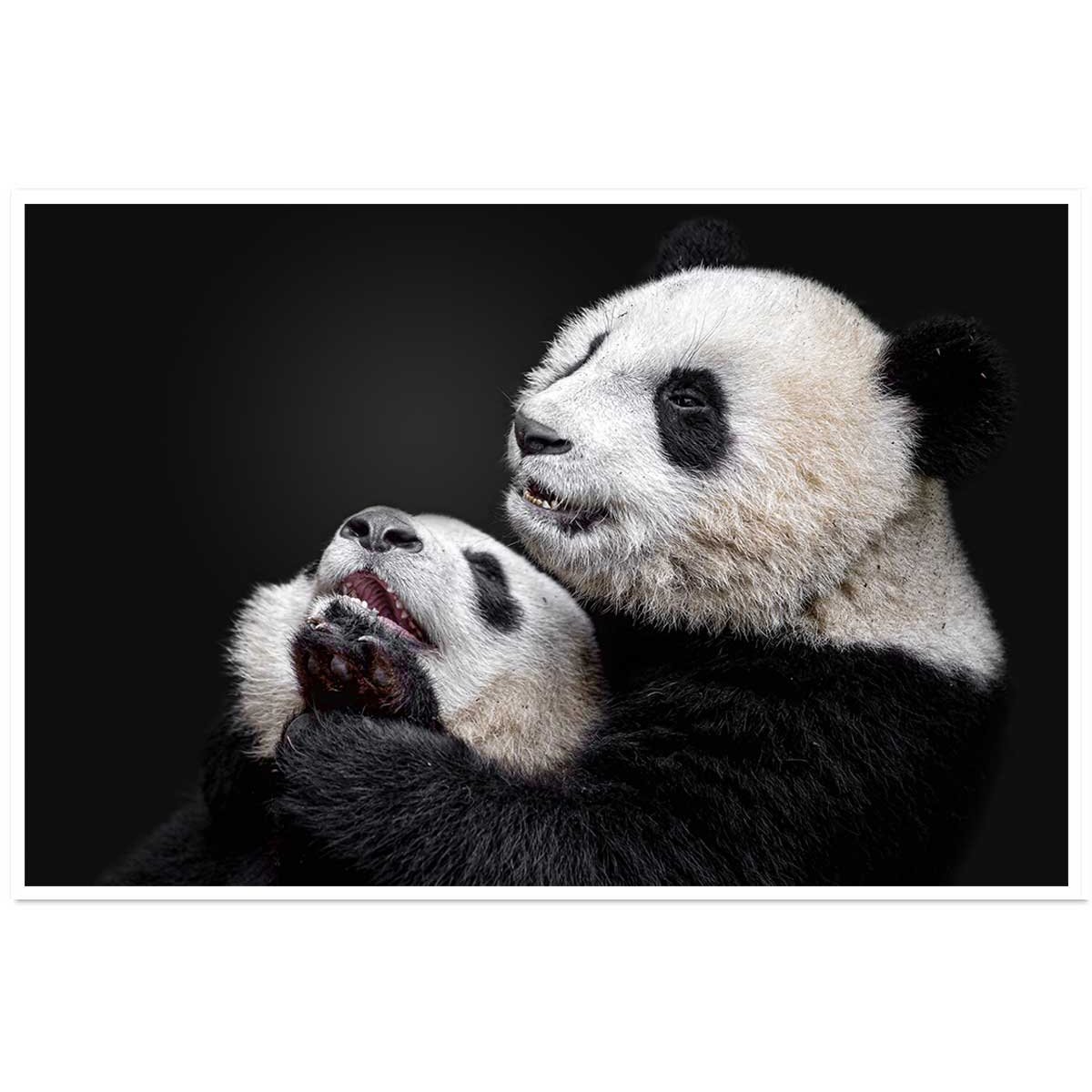 Affiche enfant pandas affiche seule, HEXOA