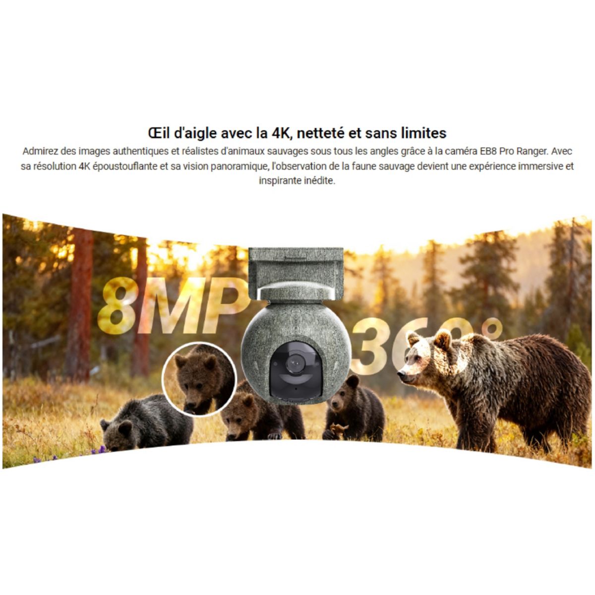 Caméra de surveillance EB8 PRO KIT 4G WIFI RANGER couleur unique, EZVIZ