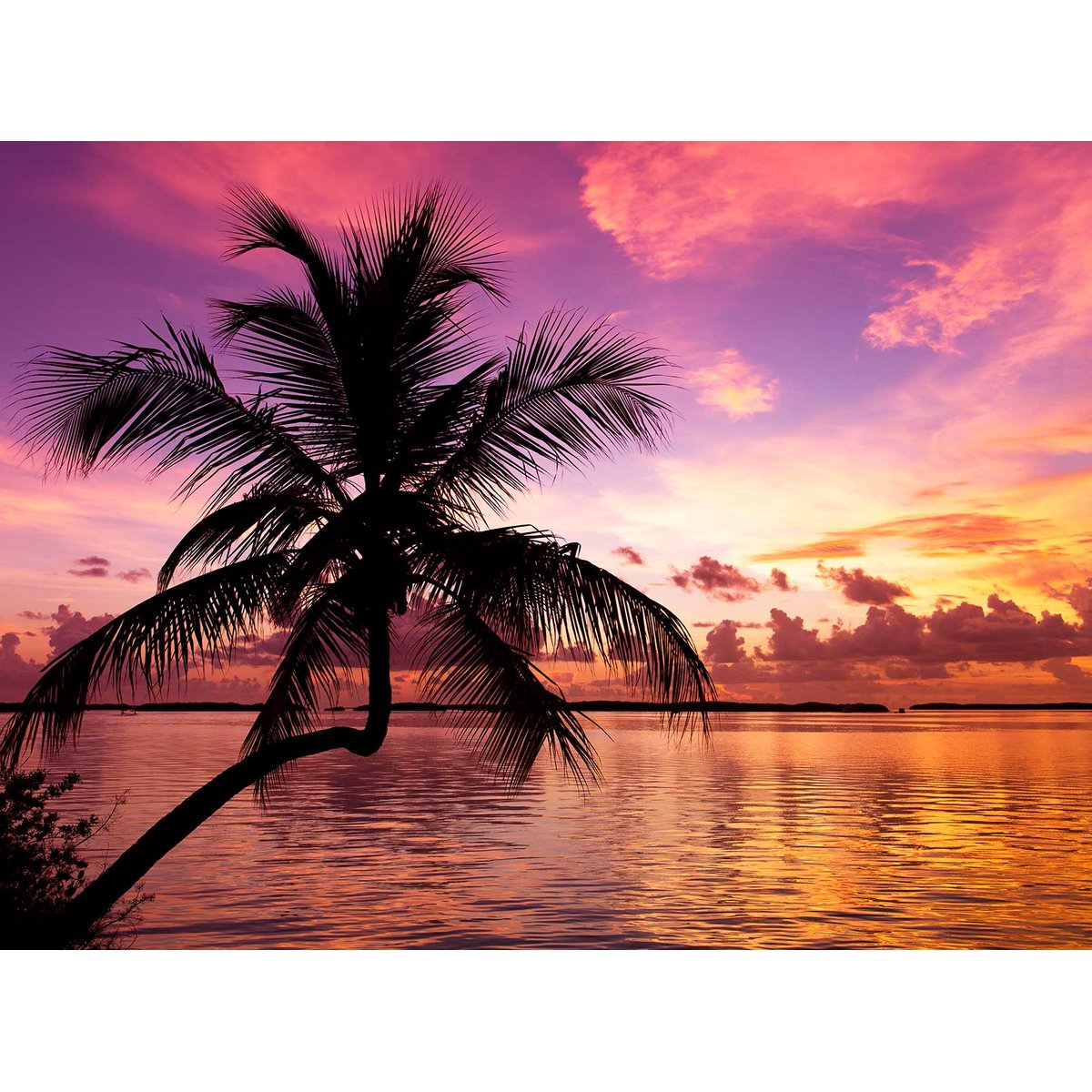 Papier peint panoramique cocotiers au sunset intissé, HEXOA