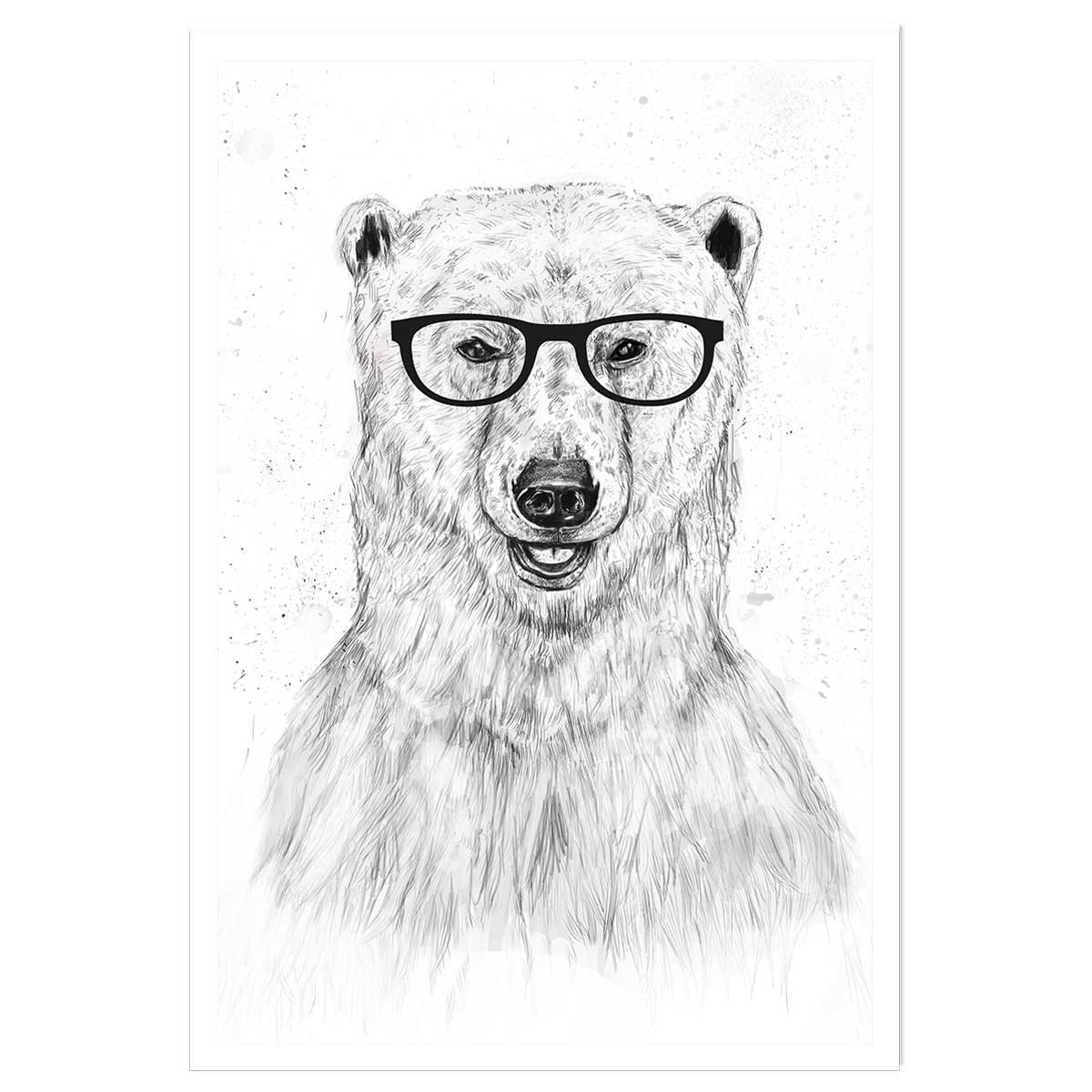 Affiche enfant ours etudiant affiche seule, HEXOA