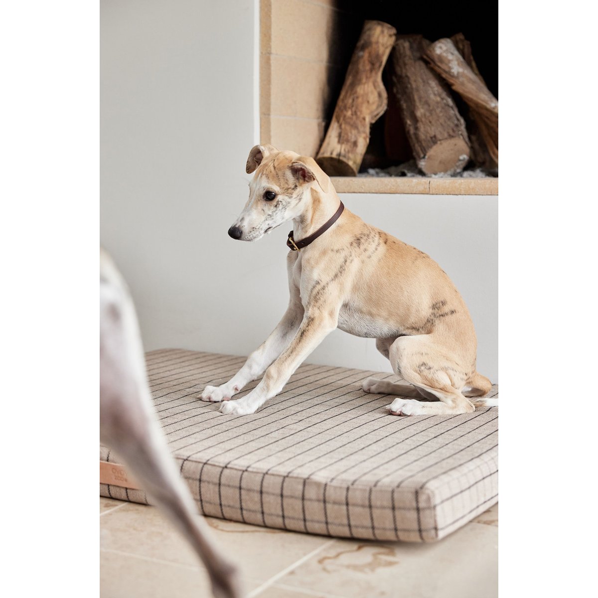 Collier en cuir pour chien LIVING marron foncé, OYOY LIVING DESIGN