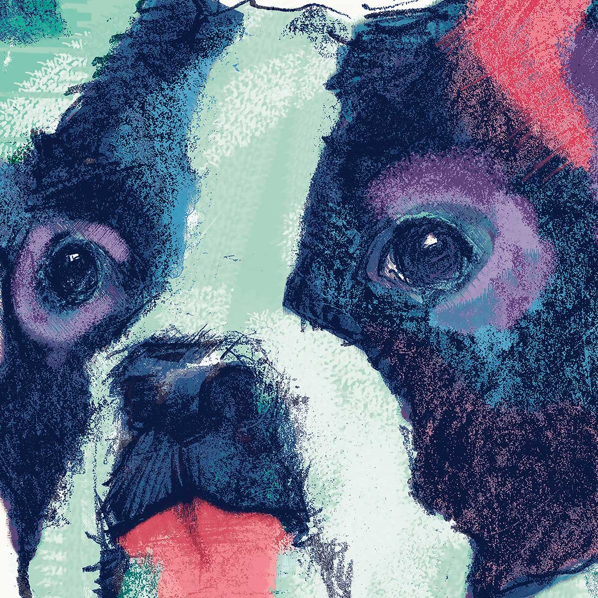 Affiche Ulysses Bouledogue français affiche + cadre en bois - noir, HEXOA