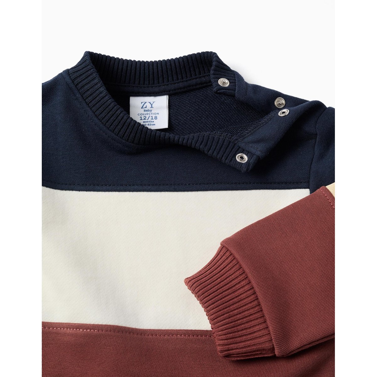 Sweat en coton avec bloc de couleurs marrón, ZIPPY