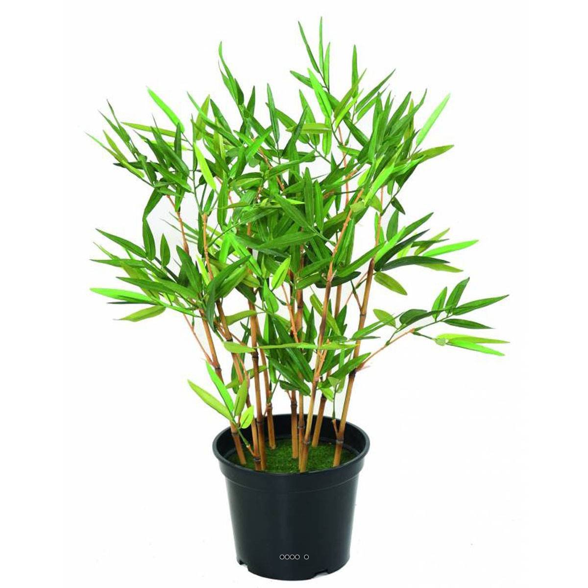 Bambou Artificiel finition mousse verte H 60 vert, ARTIFICIELLES