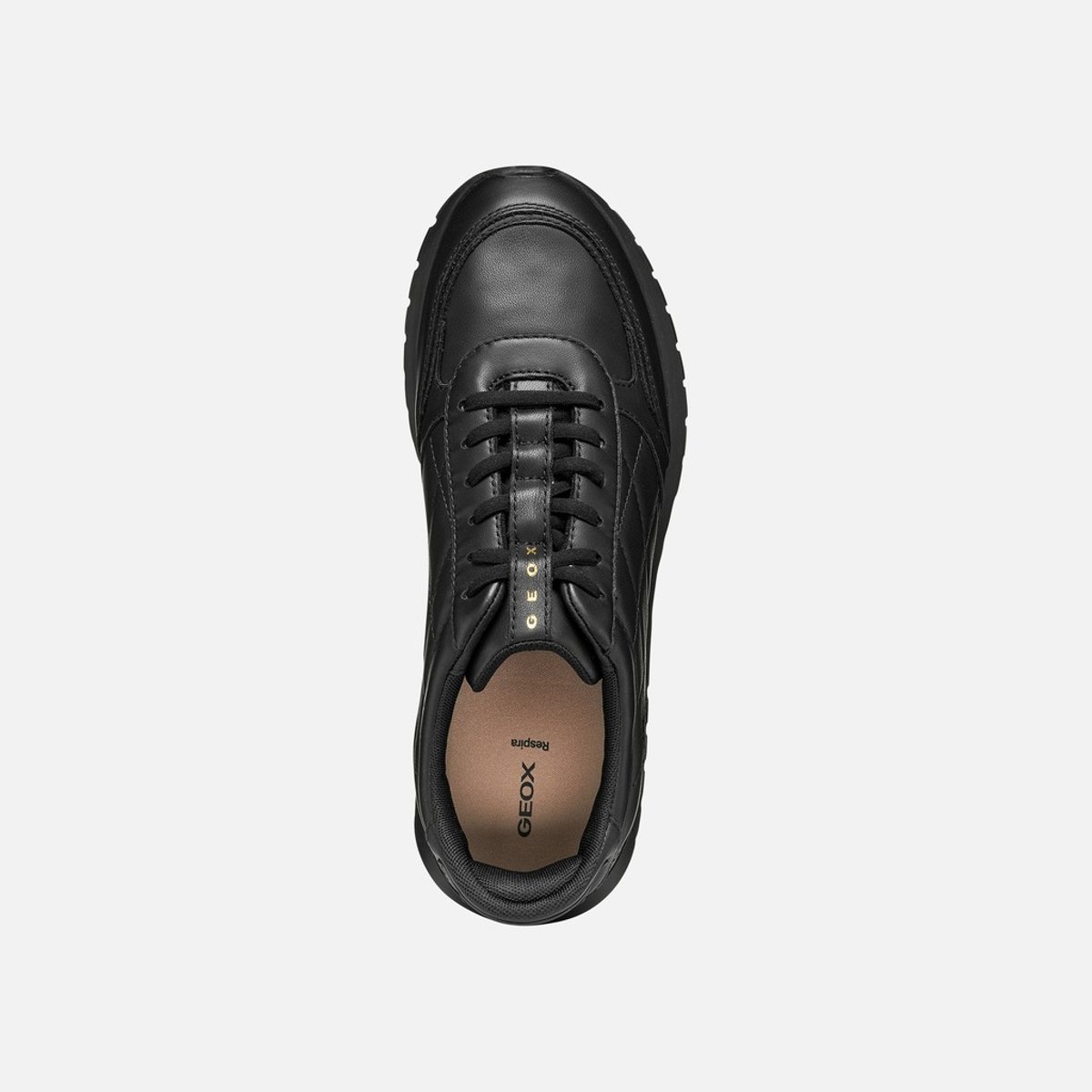 Baskets  D SUKIE 2.0 PLUS noir, GEOX