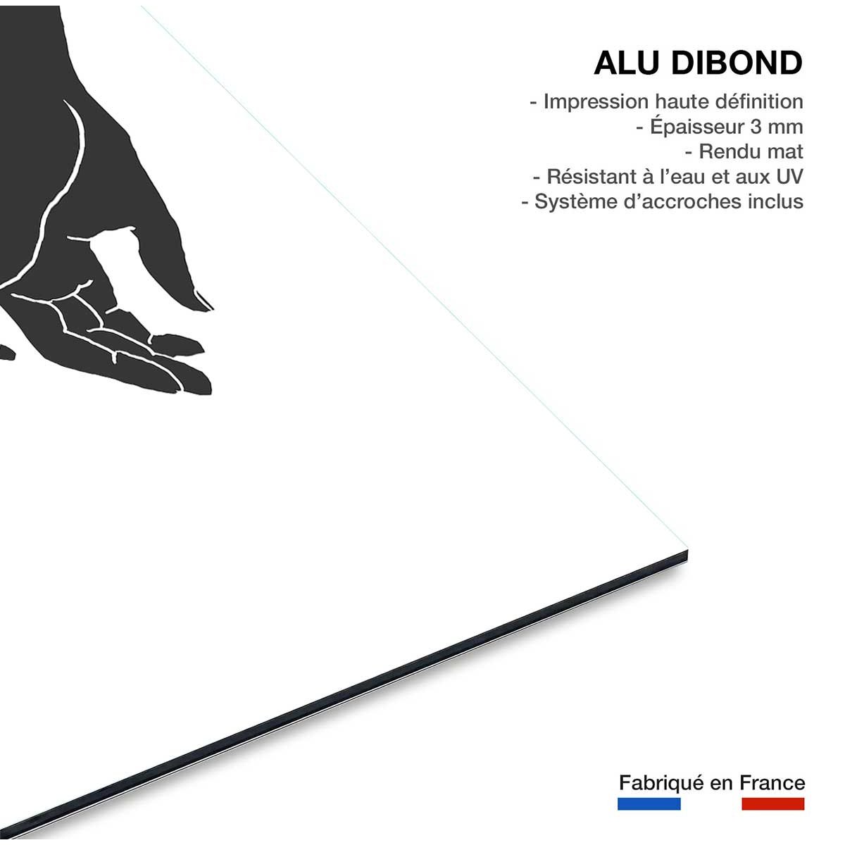 Tableau le petit doigt tableau alu dibond, HEXOA