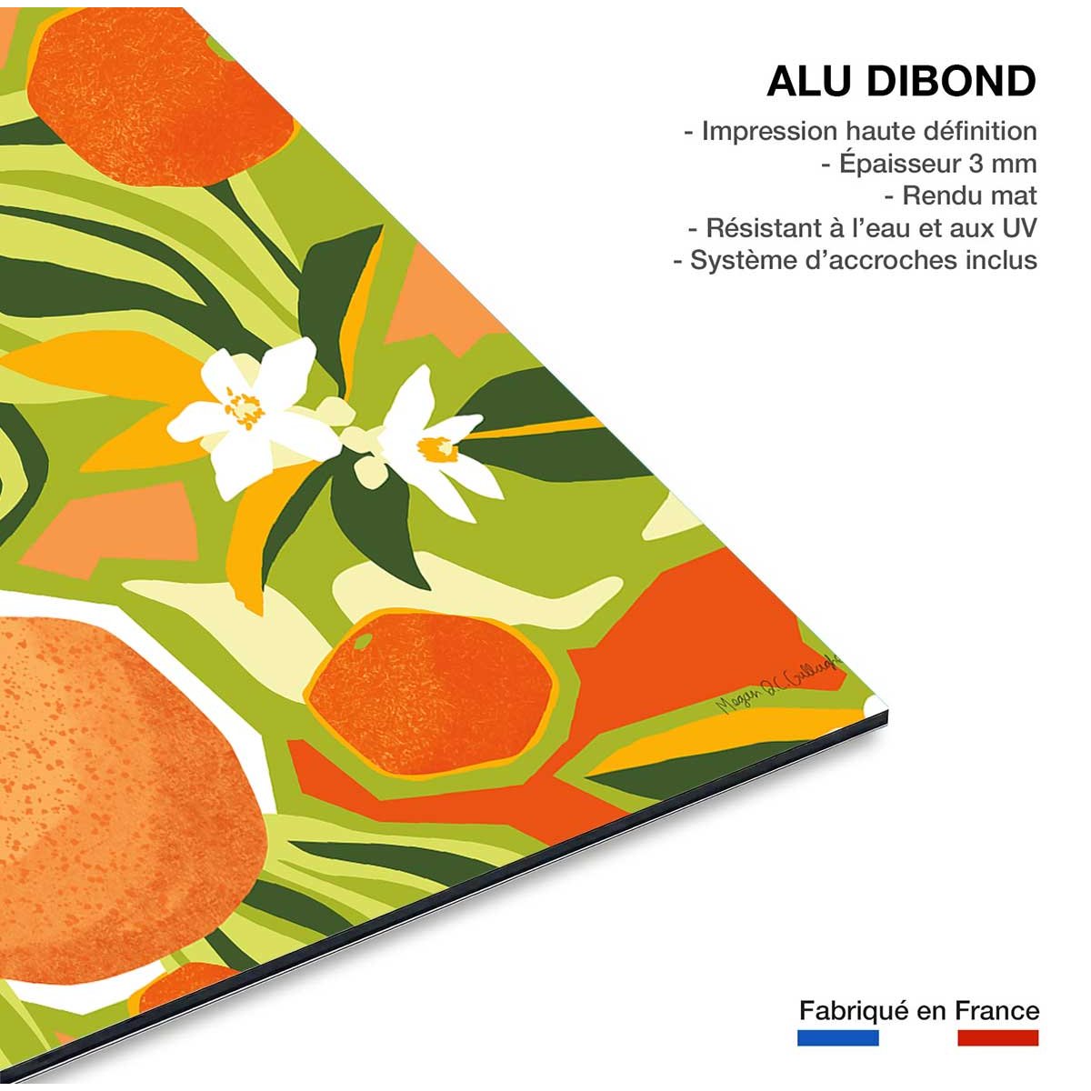 Tableau bel oranger tableau alu dibond, HEXOA