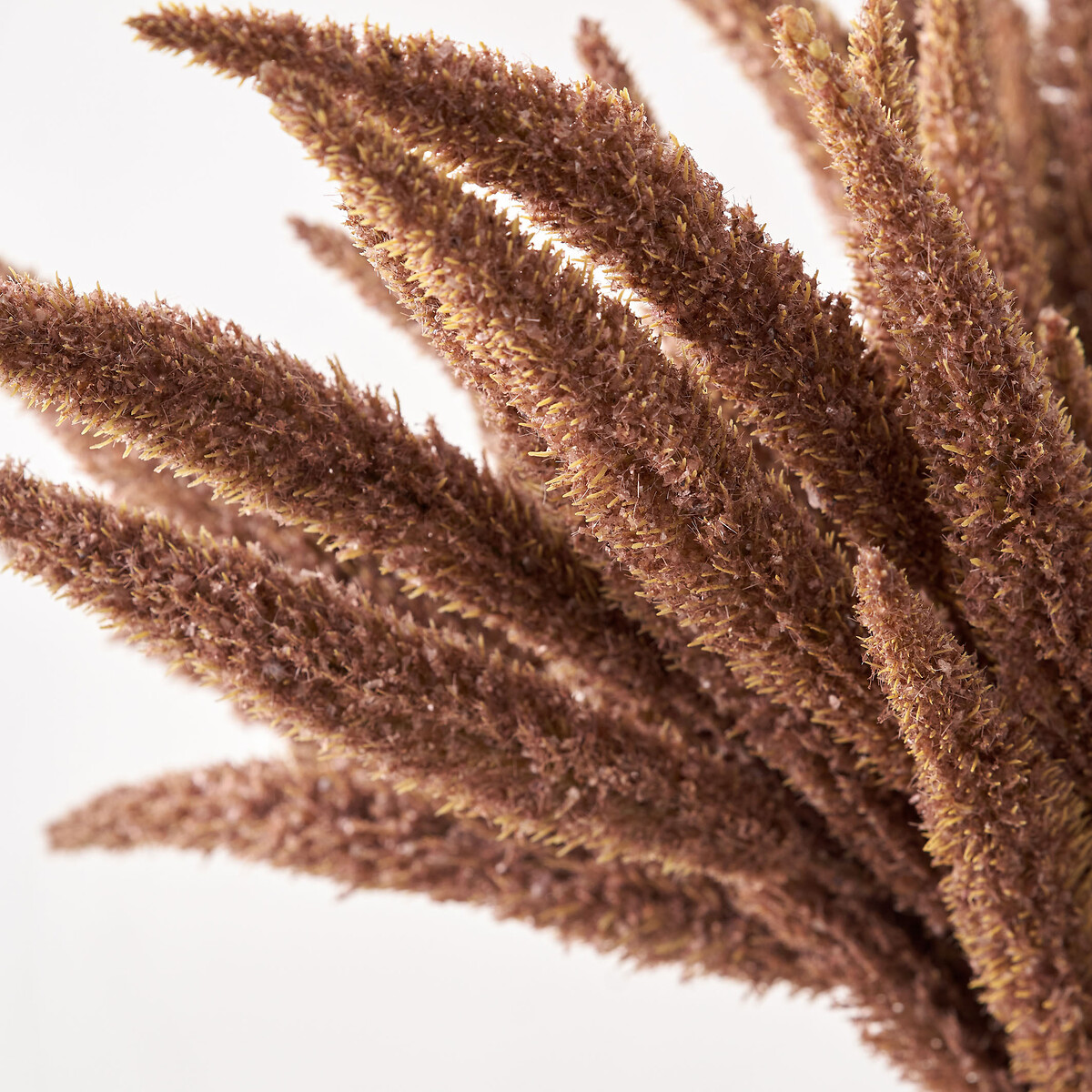 Mulberry Brown Dried Flower Bunch brown , SO'HOME