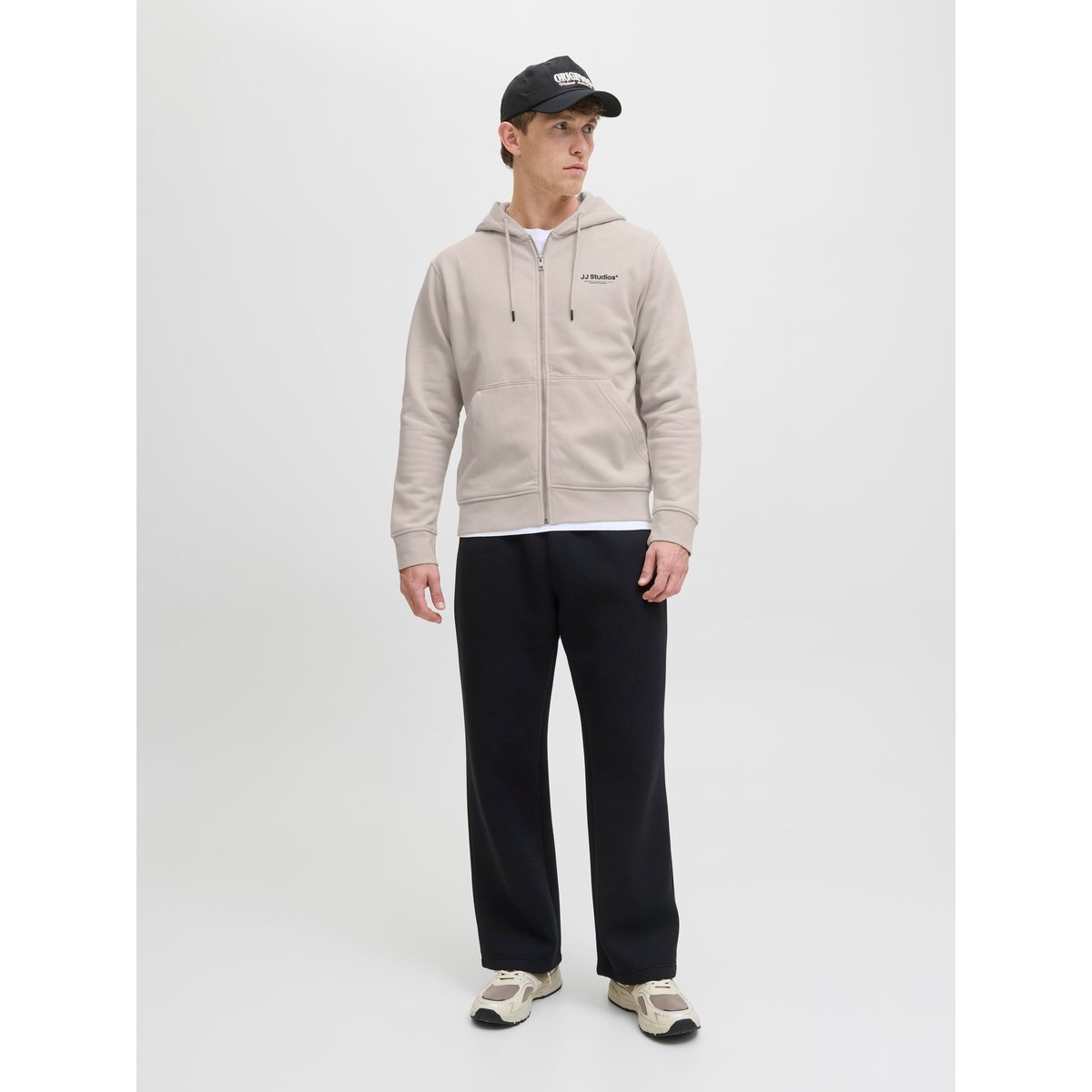 Sweat À Capuche Zippé moonbeam, JACK & JONES