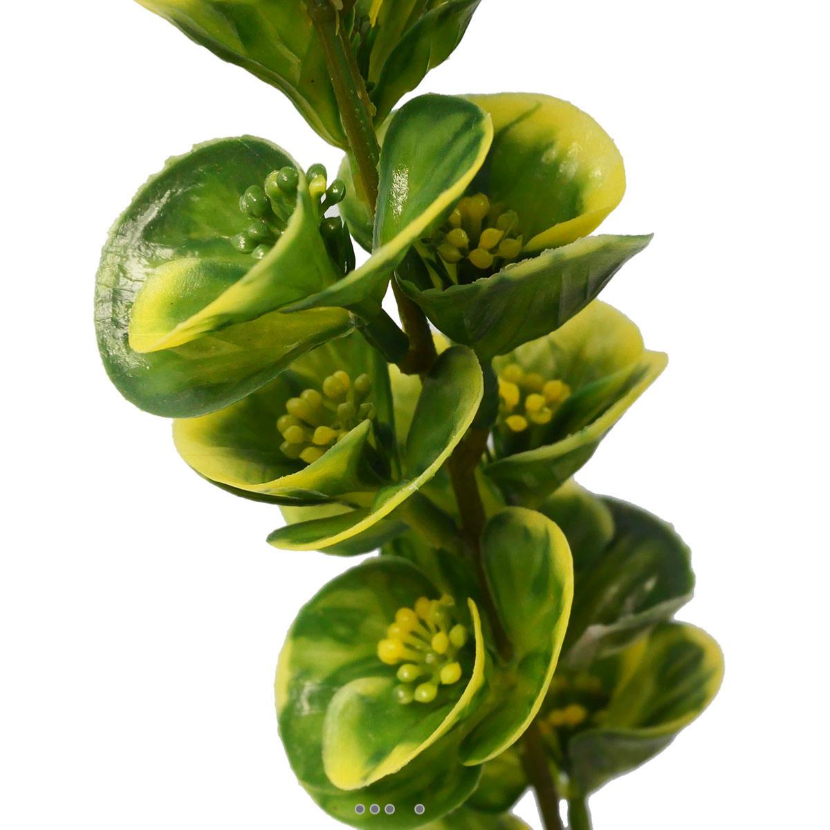 Bupleurum en pic plastique artificiel panache vert, ARTIFICIELLES