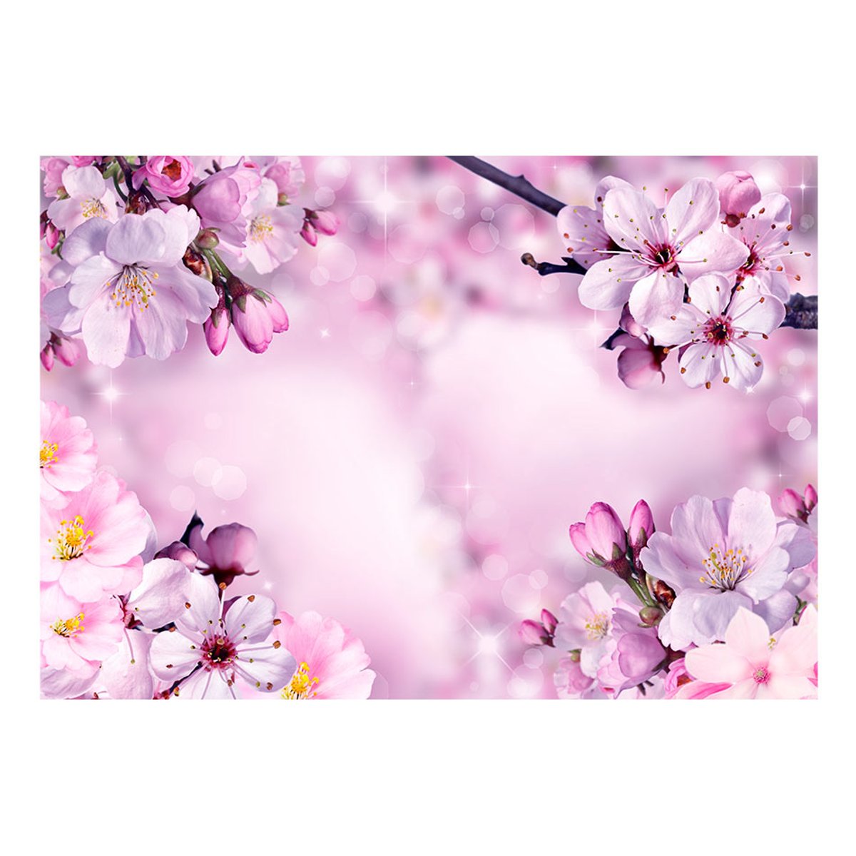 Papier peint intissé panoramique Fleurs Say Hello to Spring rose, EDEN