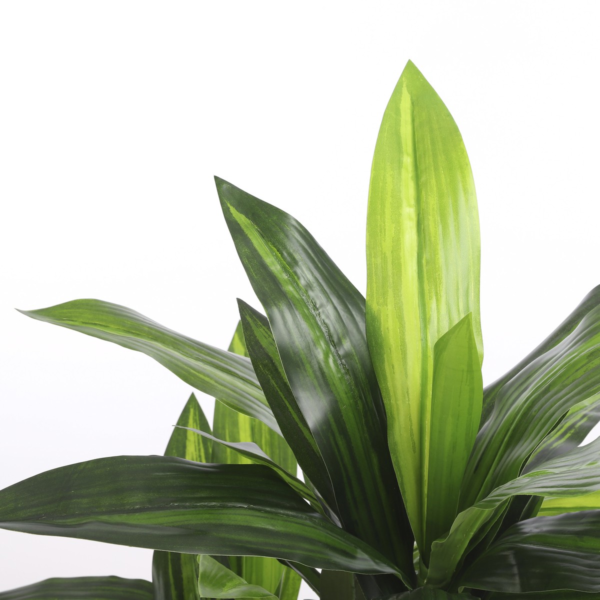 Plante artificielle DRACAENA vert, MICA DECORATIONS
