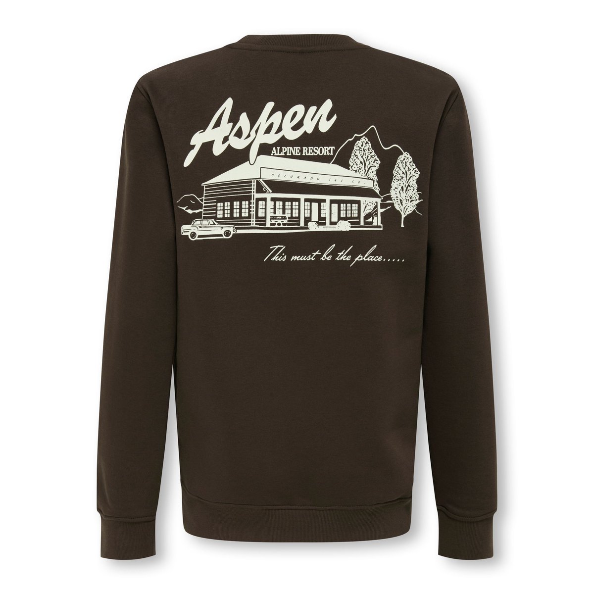 Sweat-Shirt marron - coffee bean 1, ONLY & SONS JUNIOR