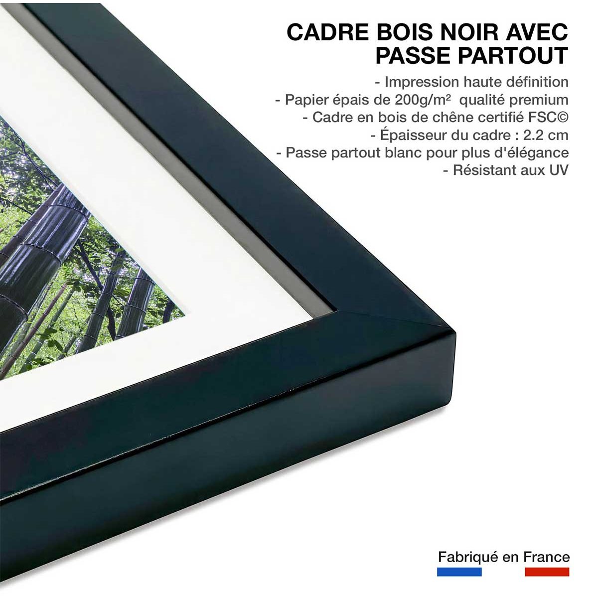 Affiche zen Bambous Geants affiche + cadre en bois - noir, HEXOA