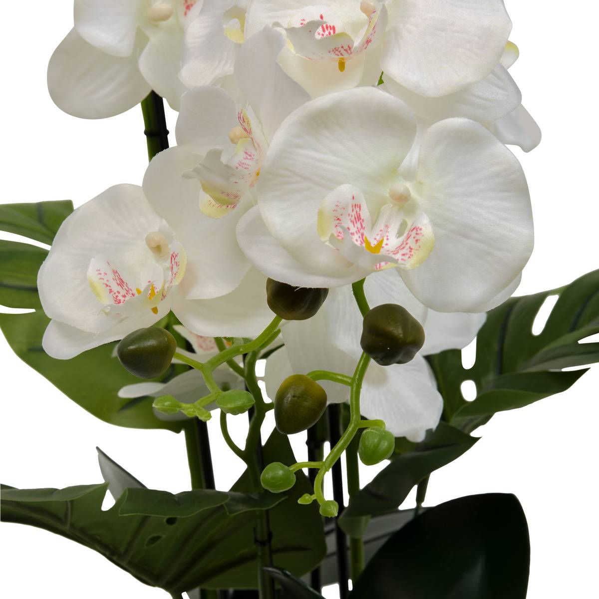 Fleur Artificielle Orchidée H81cm pot en grès ASIA vert, ATMOSPHERA