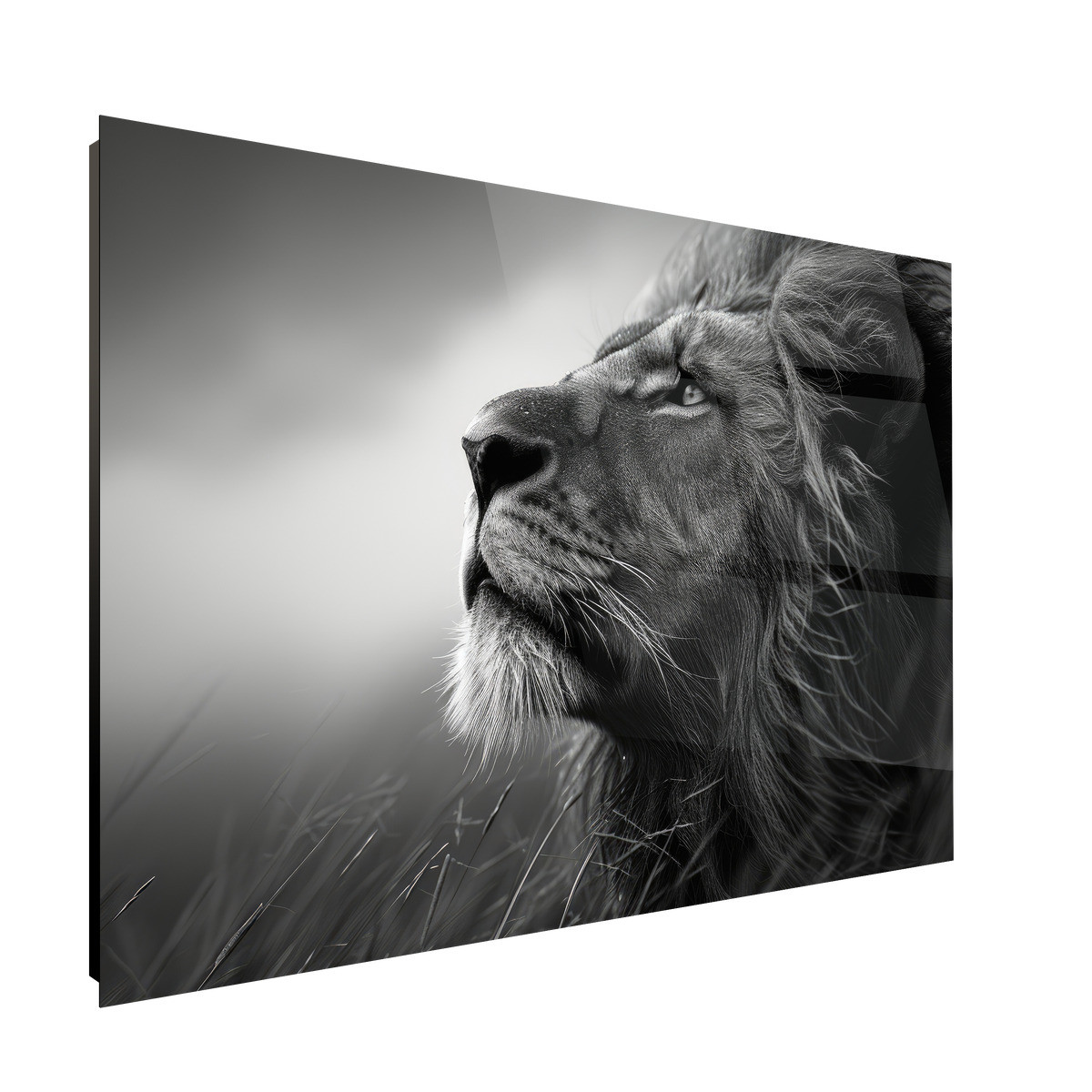 Tableau Sur Verre Synthétique Lion Songeur ANIMAUX tableau en verre synthétique, CEANOTHE