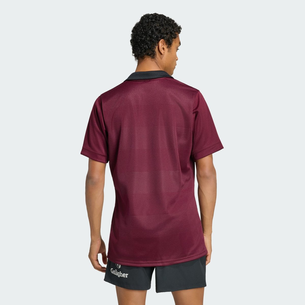 Maillot D'entraînement All Blacks Maillot D'entraînement All Blacks maroon, adidas Performance
