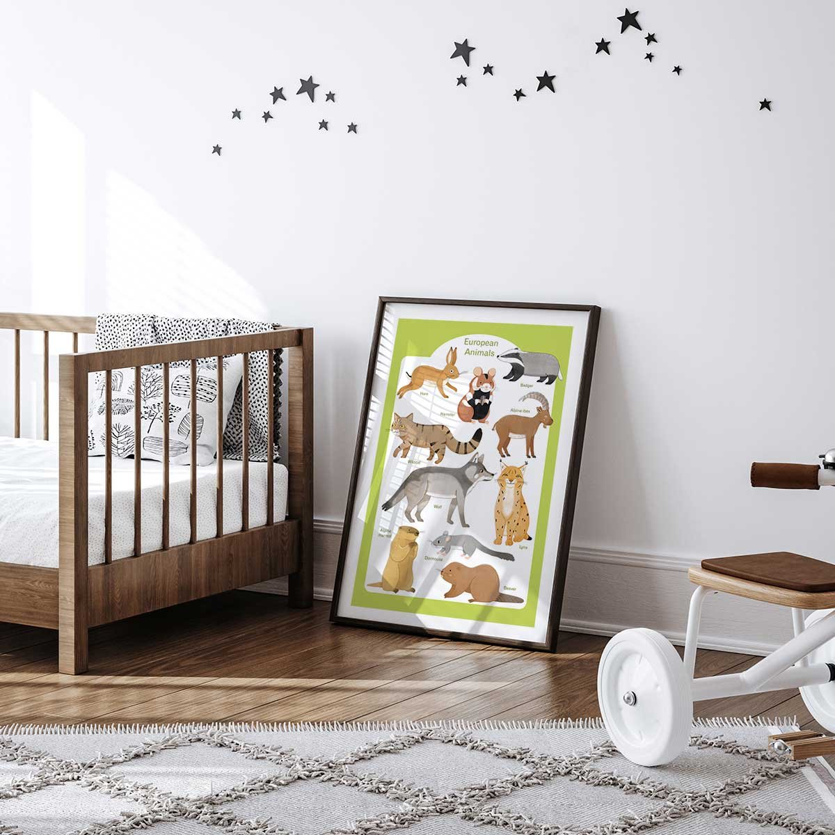 Affiche enfant animaux d'europe affiche seule, HEXOA