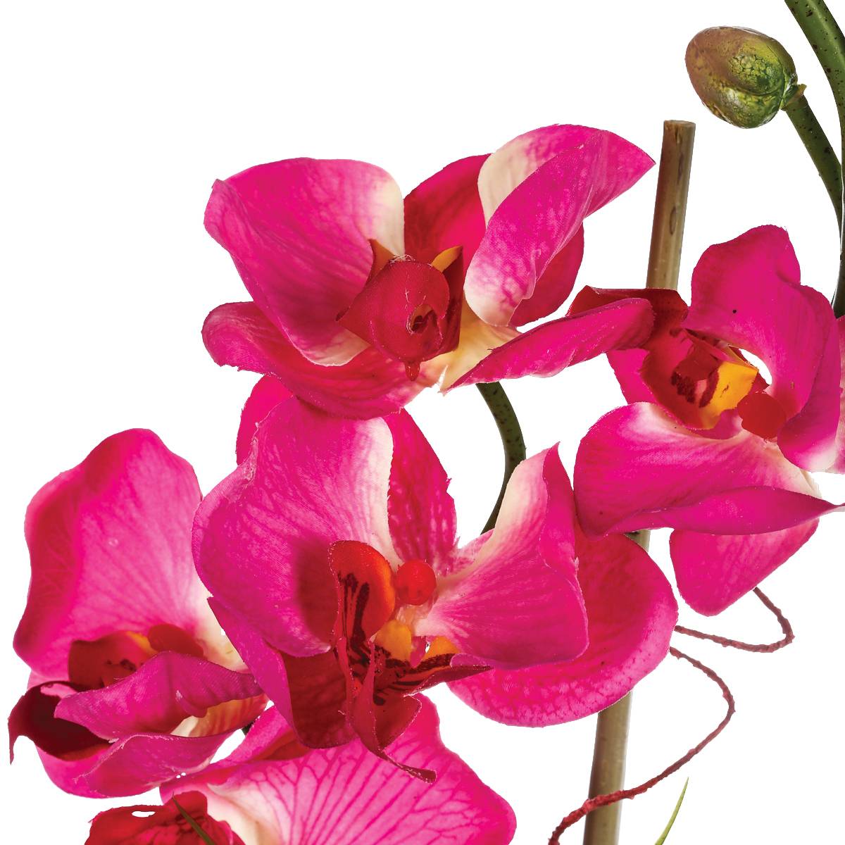 Composition d'orchidées artificielles ORCHIDEE blanc, ATMOSPHERA