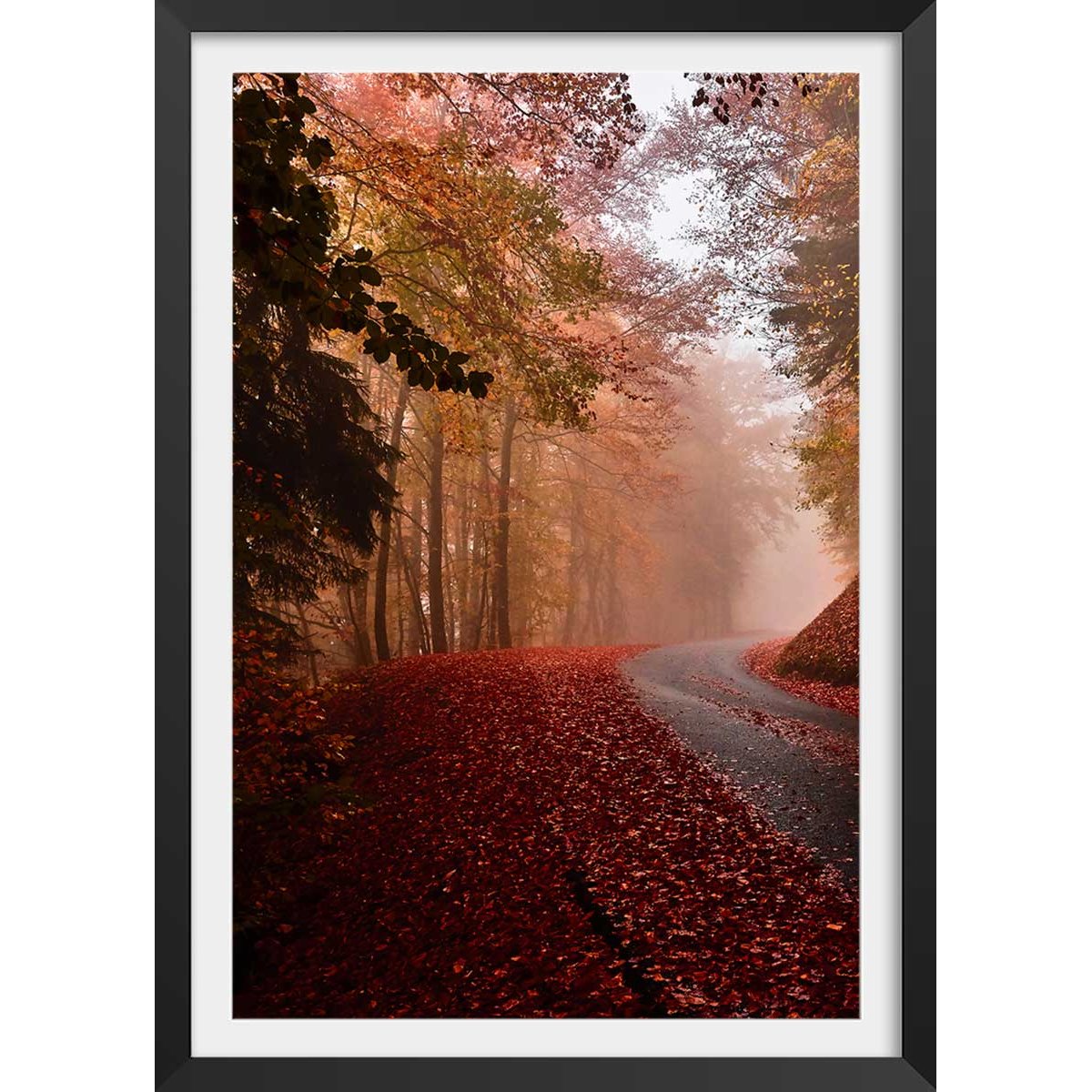 Affiche nature explosion automnale affiche + cadre en bois - noir, HEXOA