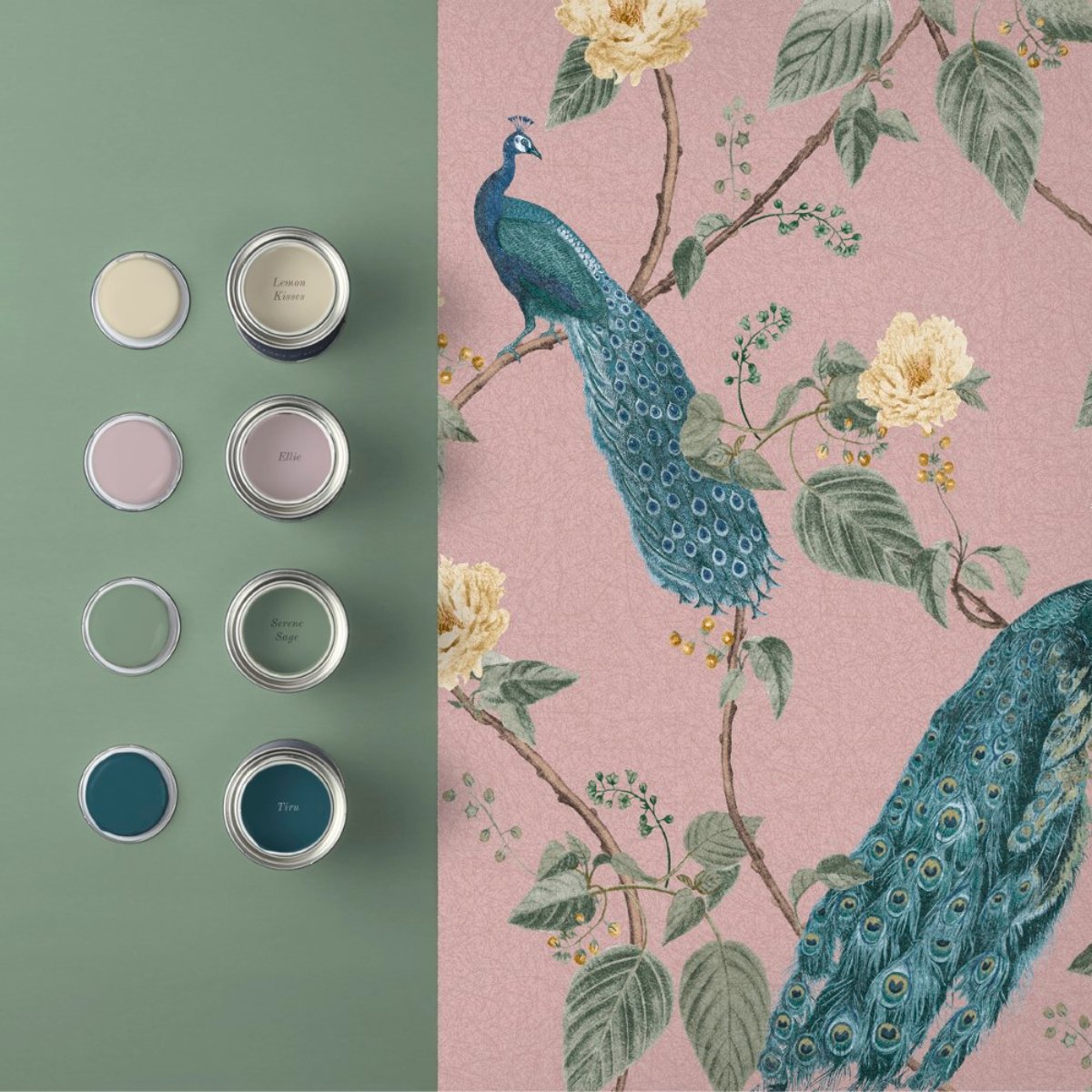 Papier peint Resplendence Blush rose, bleu, GRAHAM ET BROWN