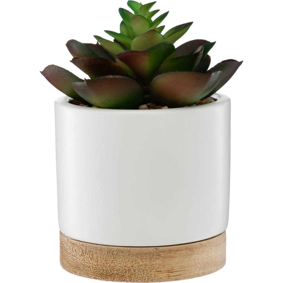 Succulente artificielle ARTY vert clair, ATMOSPHERA