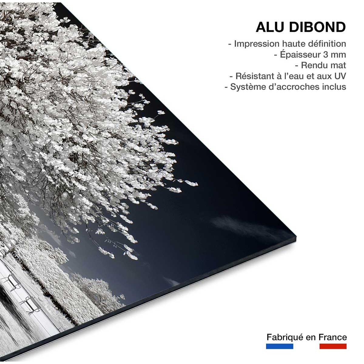 Tableau paris jardin blanc comme neige tableau alu dibond, HEXOA