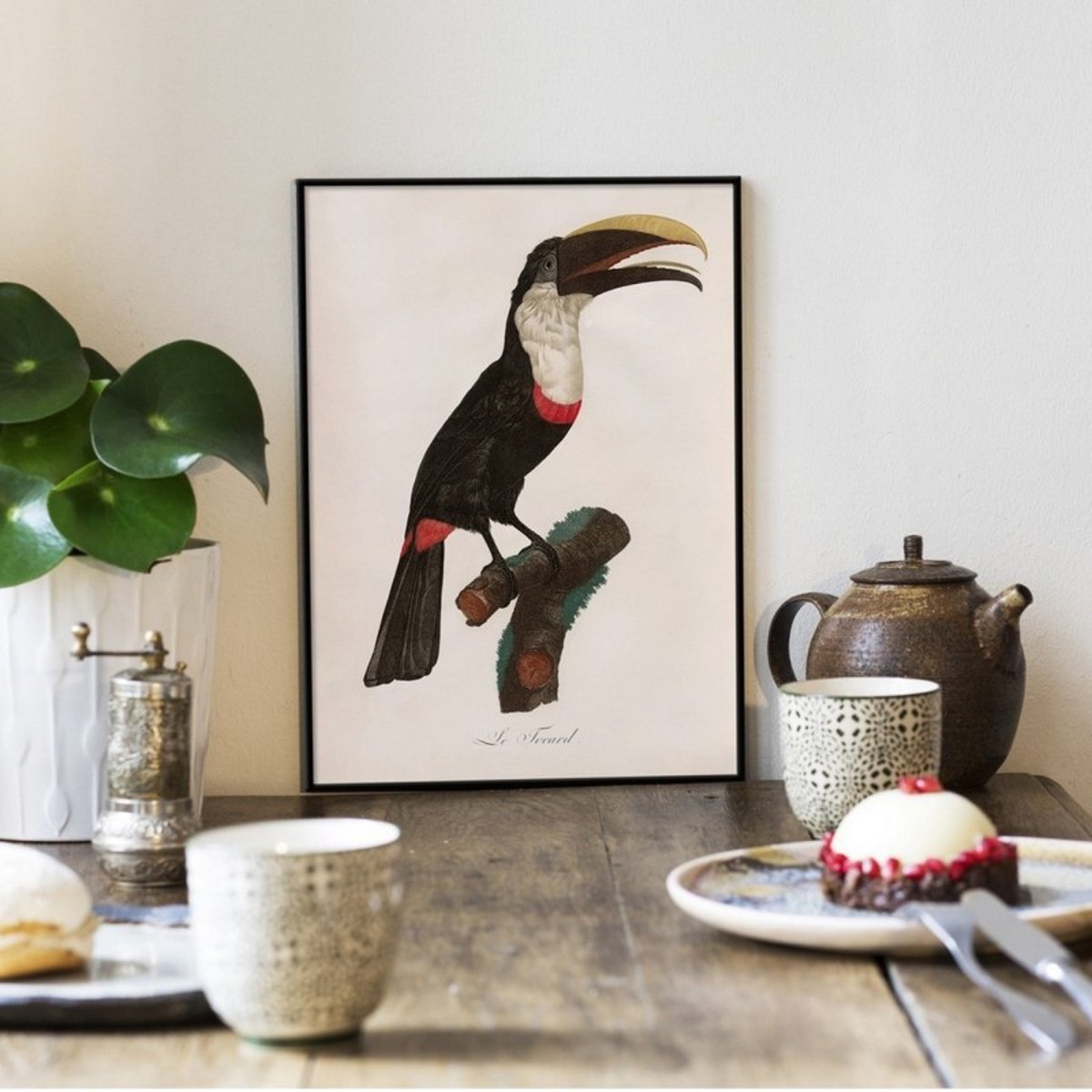 Affiche ancienne oiseau dessin Le Toucan Tocard noir, THE DYBDAHL CO