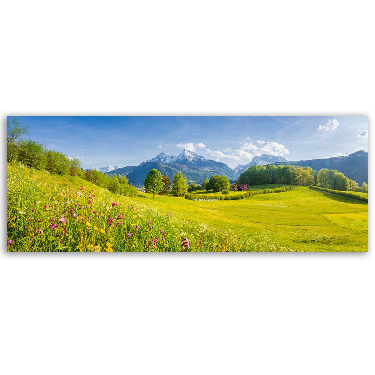 Tableau panoramique prairie alpine fleurs et montagnes toile imprimée, HEXOA