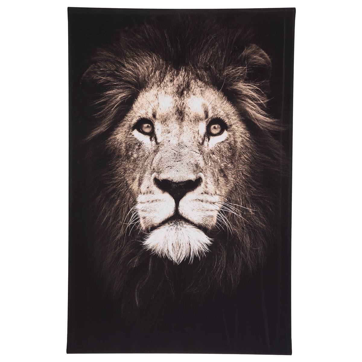 Toile imprimée ANIMAUX multicolore, ATMOSPHERA