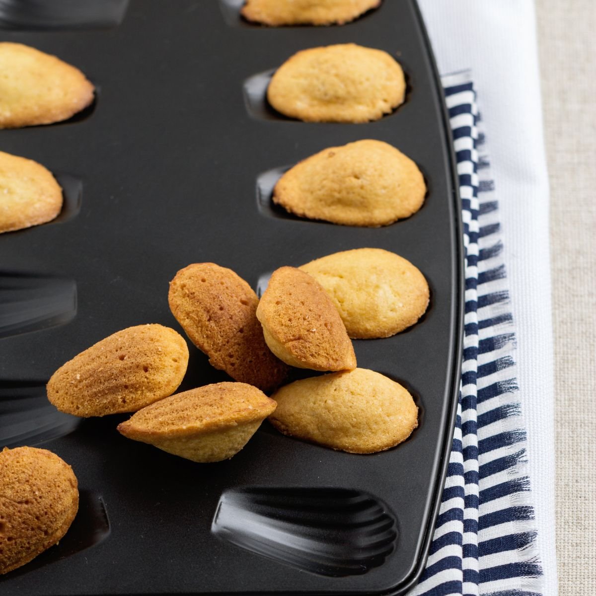Lot de 2 moules à madeleines 12 empreintes noir, ZENKER