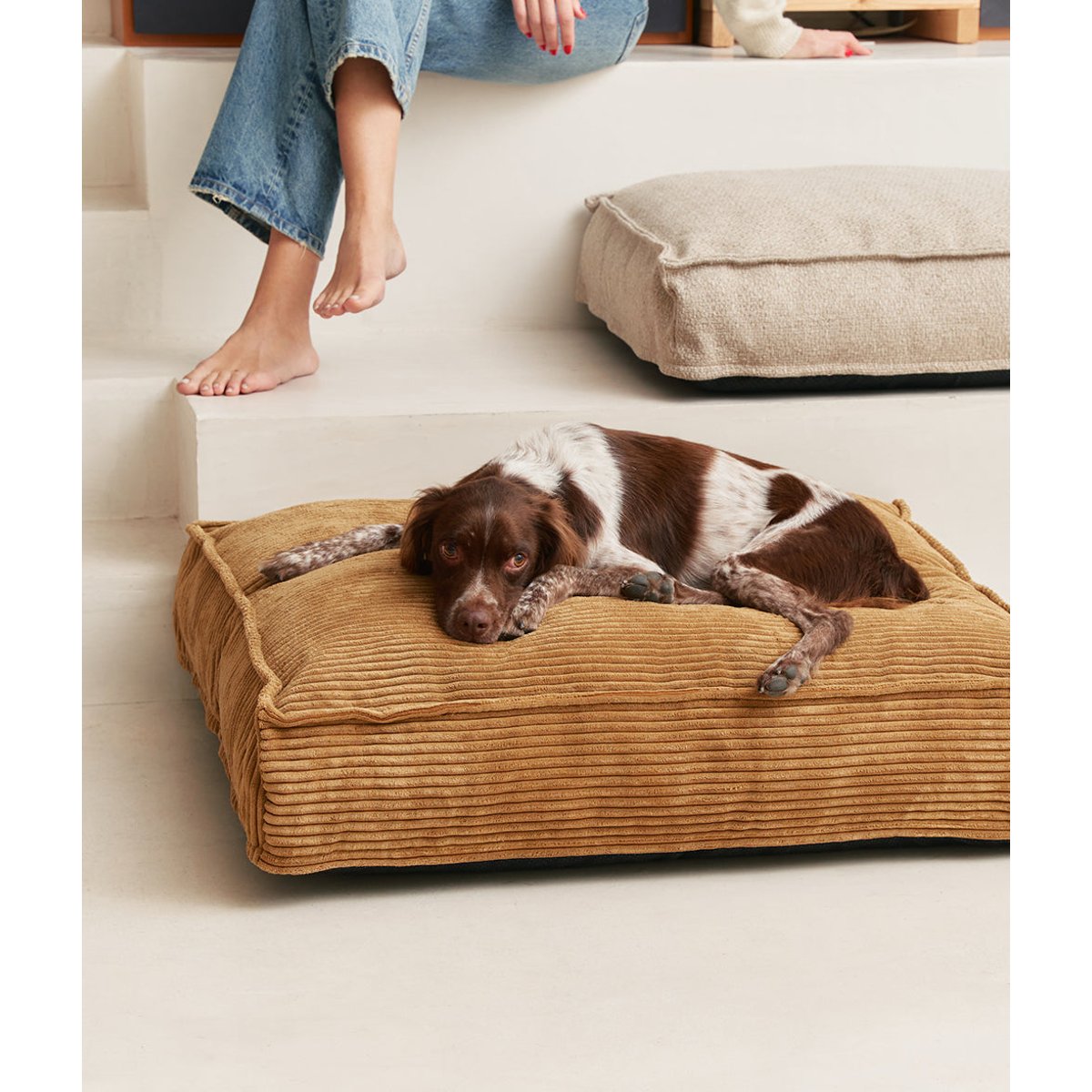 Lit pour chien en velours côtelé, CUADRA moutarde, CAFIDE