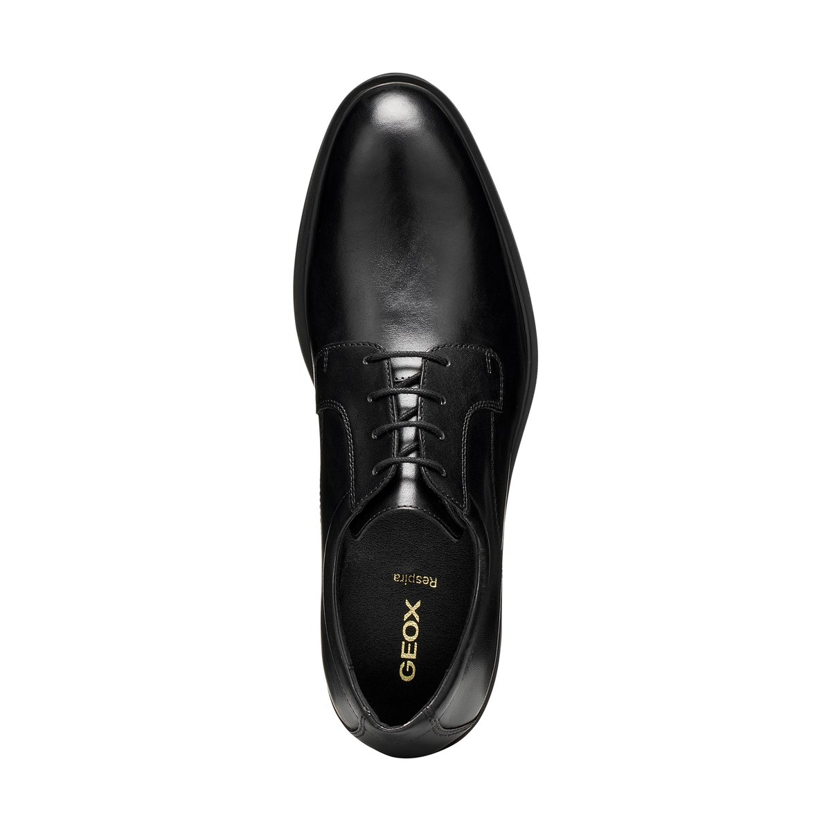 Derbies U THORIAN noir, GEOX