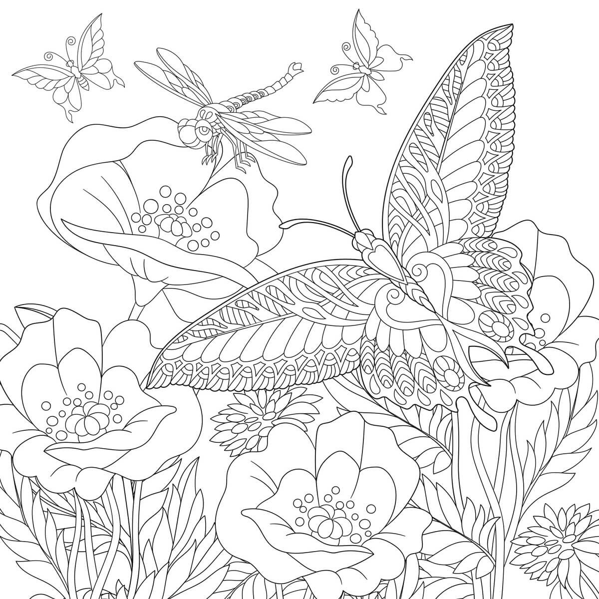 Tableau Mural Nature À Colorier ENFANT tableaux sur toile-blanc, CEANOTHE